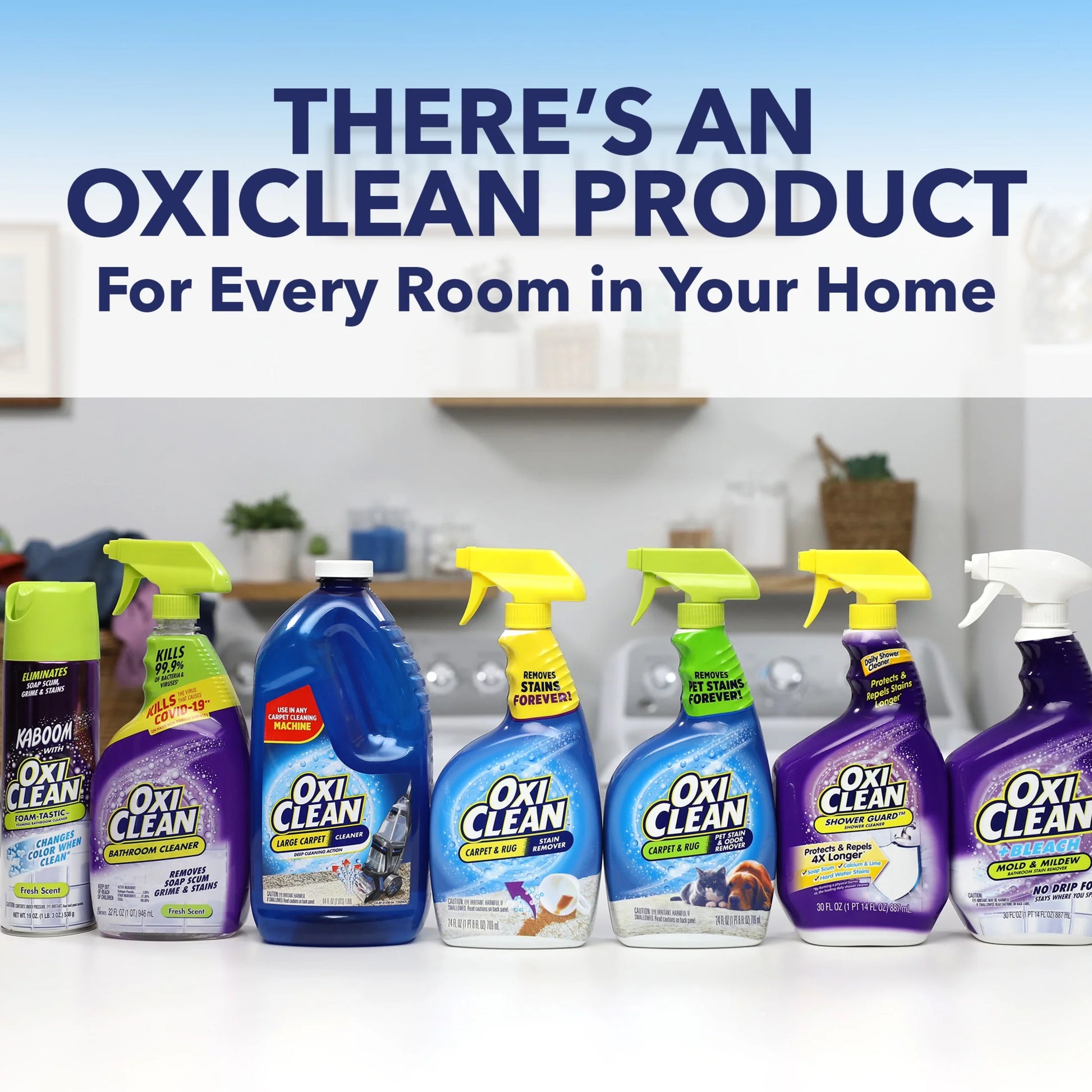 Pet Stain and Odor Remover Spray for Carpets and Rugs, 24 Fl Oz