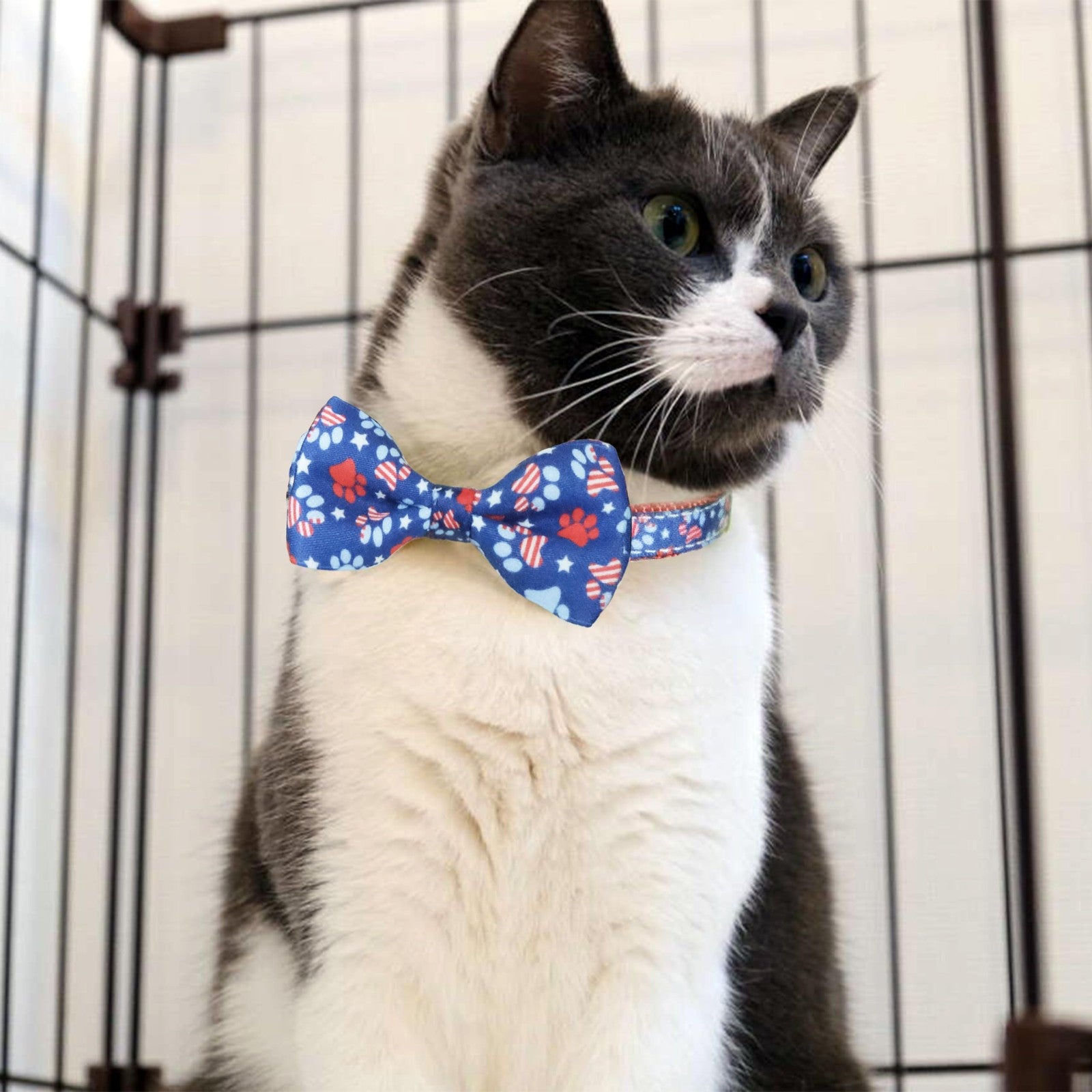 4Th of July Cat Bow Tie Collar with Bell, 2-Pack with American Stars and Pari...