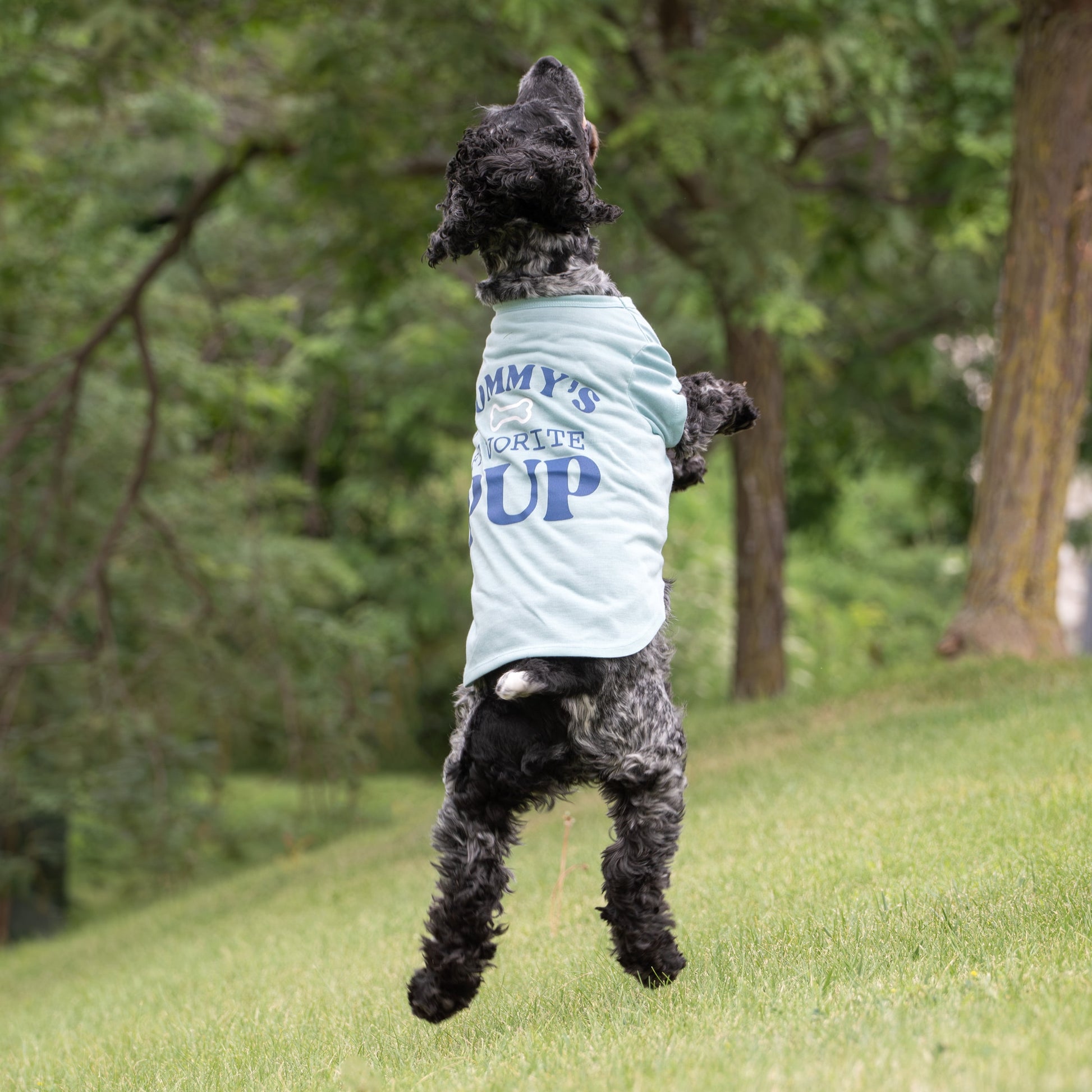 Women's Preferred Dog T-Shirt, Blue, Small