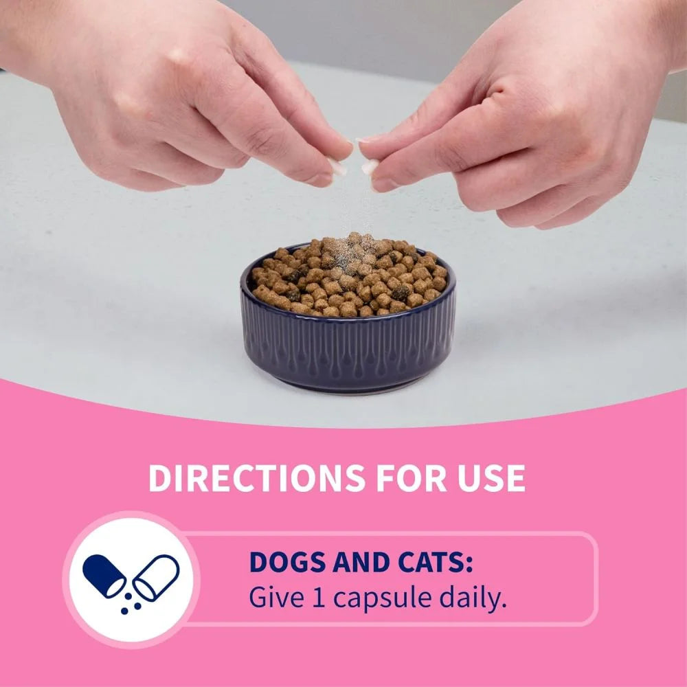 Proviable Digestive Health Supplement DC Capsules for Cats and Dogs, 80 Count