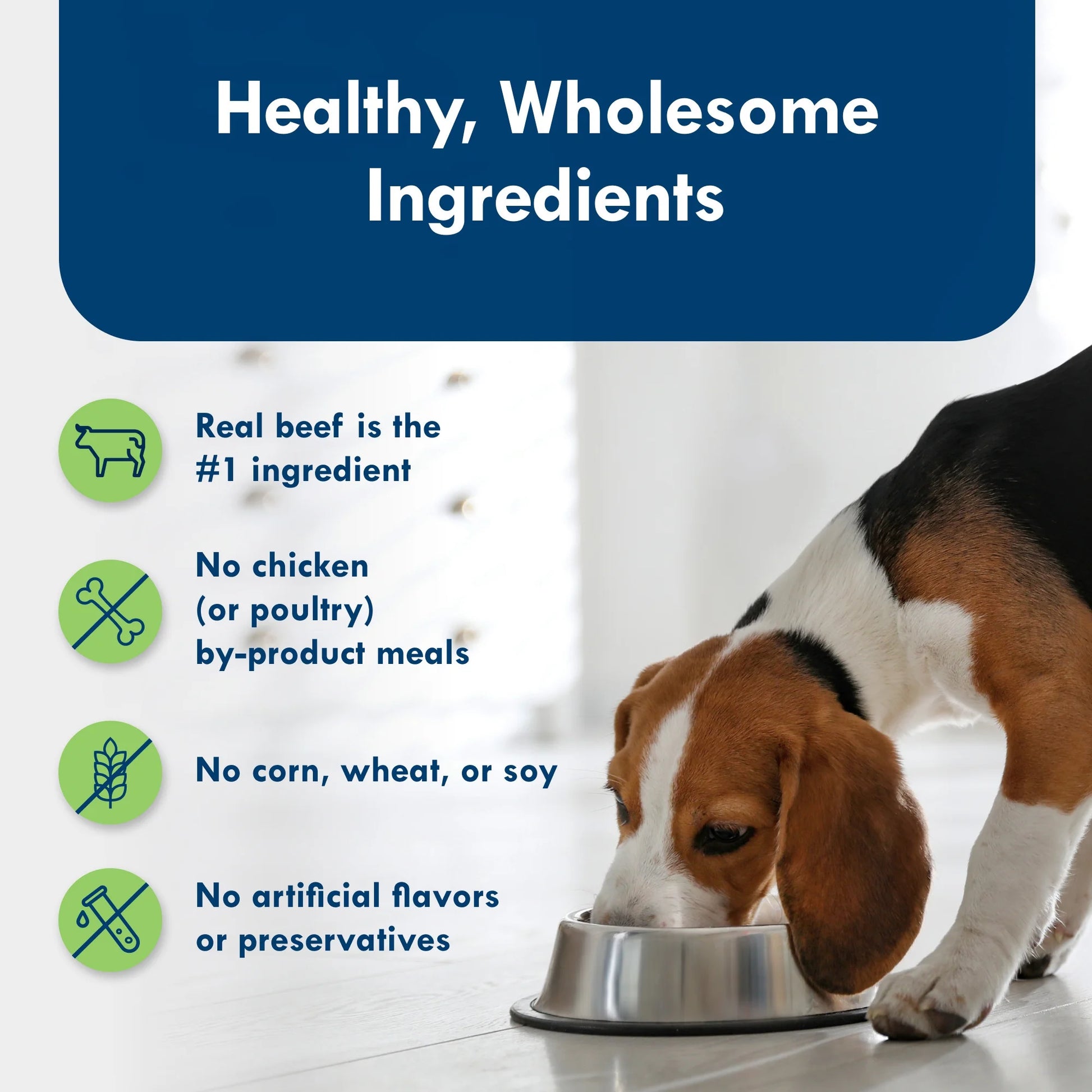 Delights Small Breed Wet Dog Food Variety Pack - Filet Mignon & New York Strip Flavors