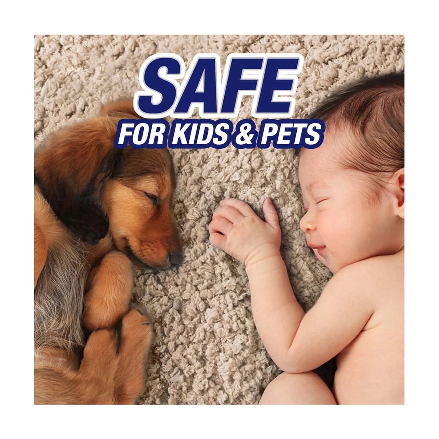 High Traffic Carpet Stain Cleaner and Odor Eliminator Foam, 22 Oz