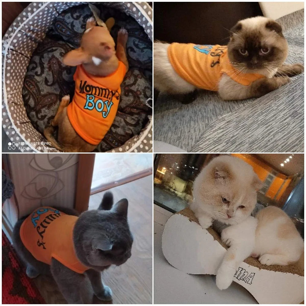 2-Pack Mommy's Boy Dog Shirt for Male Puppies - Apparel for Small Dogs, Including Chihuahuas, Yorkies, and Bulldogs (Small, Gray and Orange)