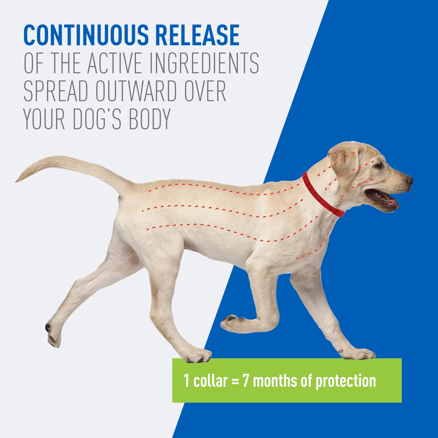 Flea and Tick Control Collar for Dogs and Puppies - Single Pack