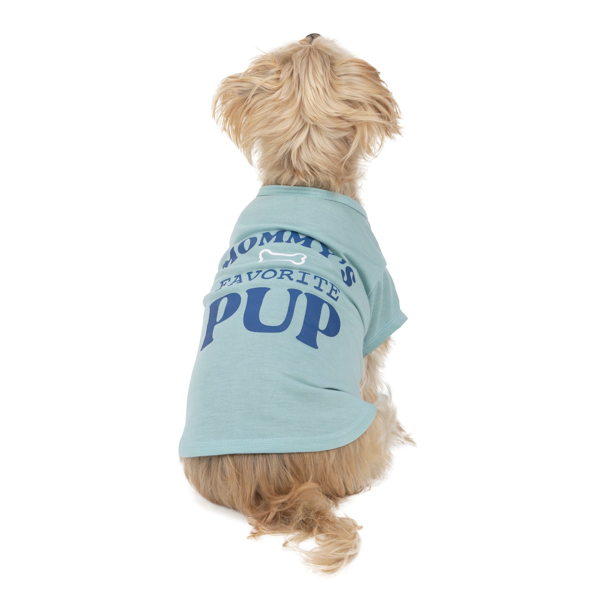 Women's Preferred Dog T-Shirt, Blue, Small