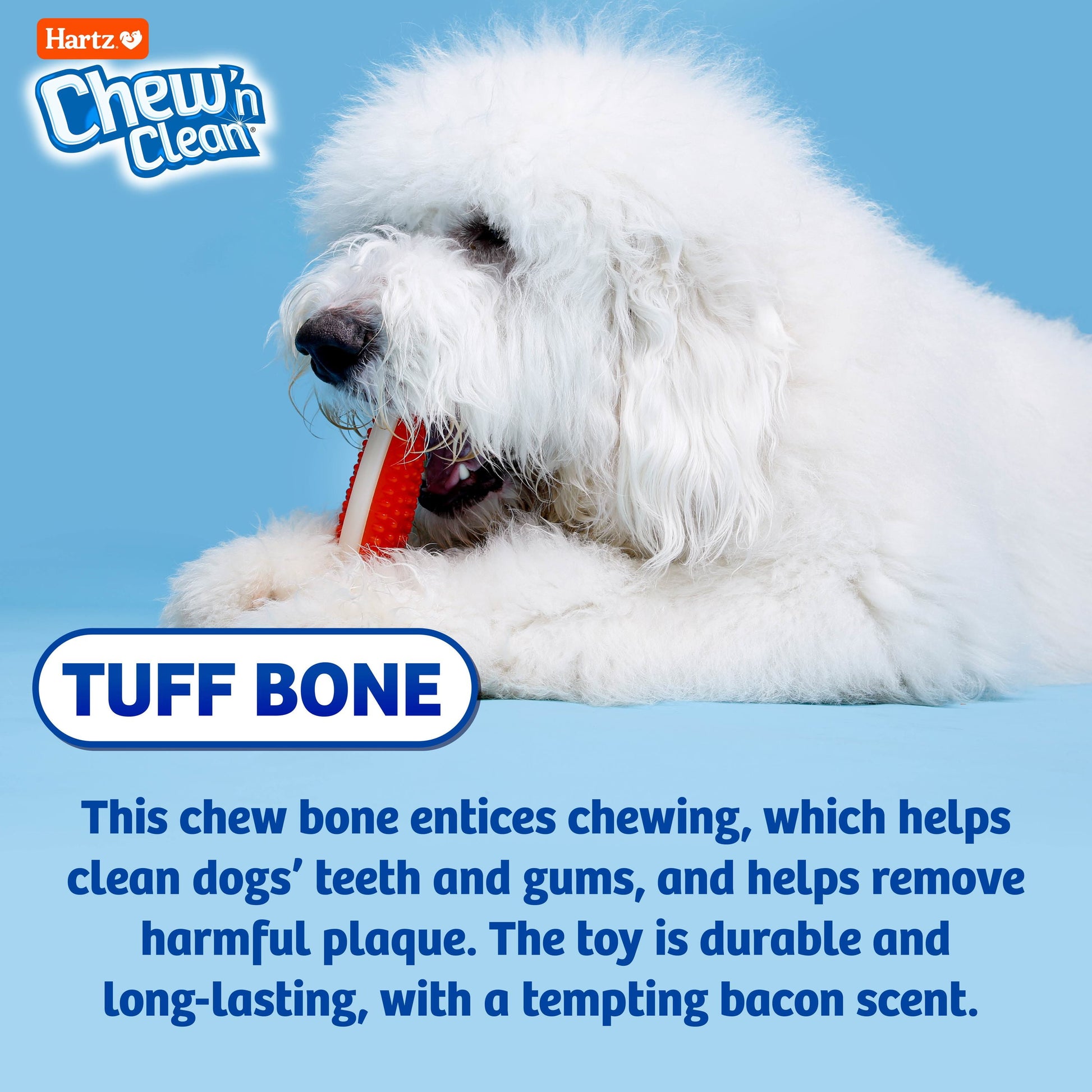 Chew 'N Clean Tuff Bone Dog Toy, Medium Nylon with Bacon Scent