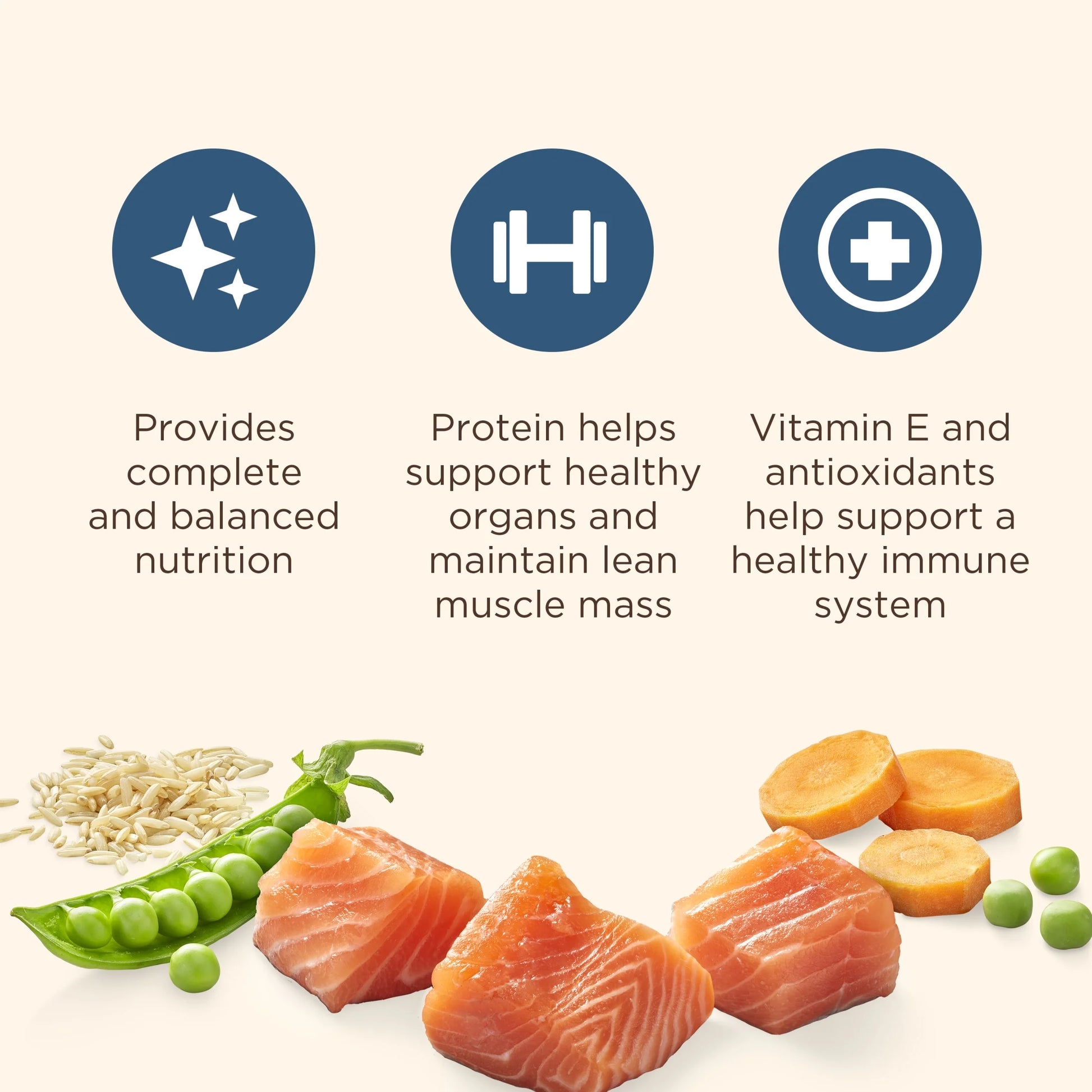 Real Salmon & Brown Rice Recipe Dry Cat Food, 3 lb Bag by Rachael Ray