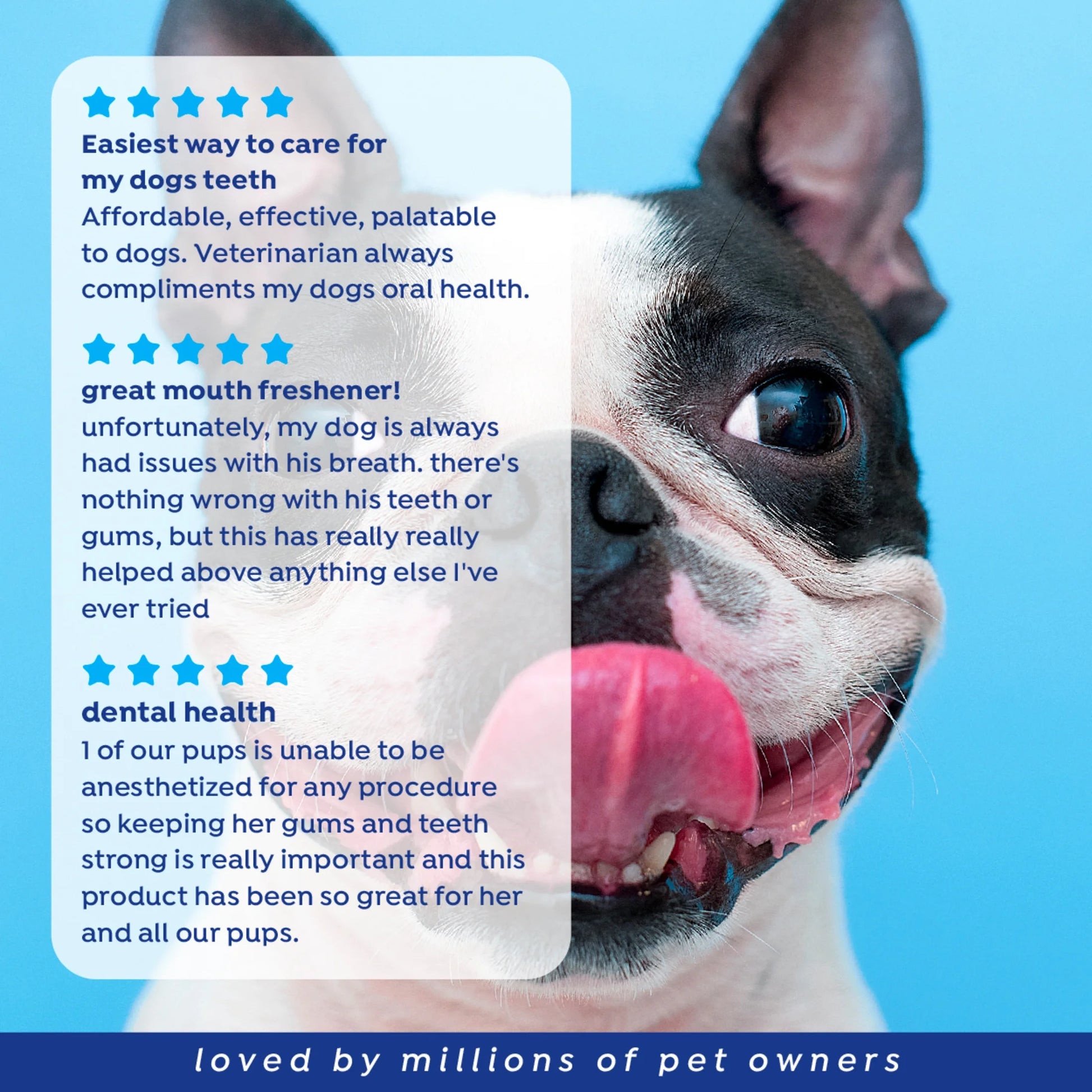 Fresh Dental Breath Freshener & Teeth Cleaning Water Additive for Dogs, 16 Oz Bottle