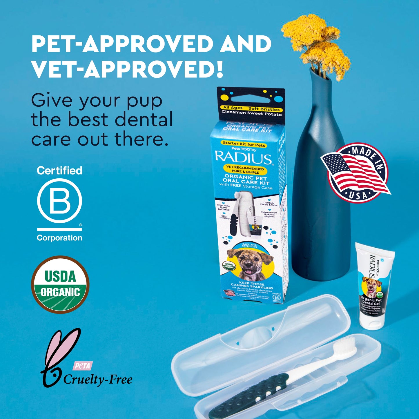 All Ages Dog Dental Kit, 1 Toothbrush, 0.8Oz Toothpaste, 1 Recycled Plastic Case, Clean Teeth