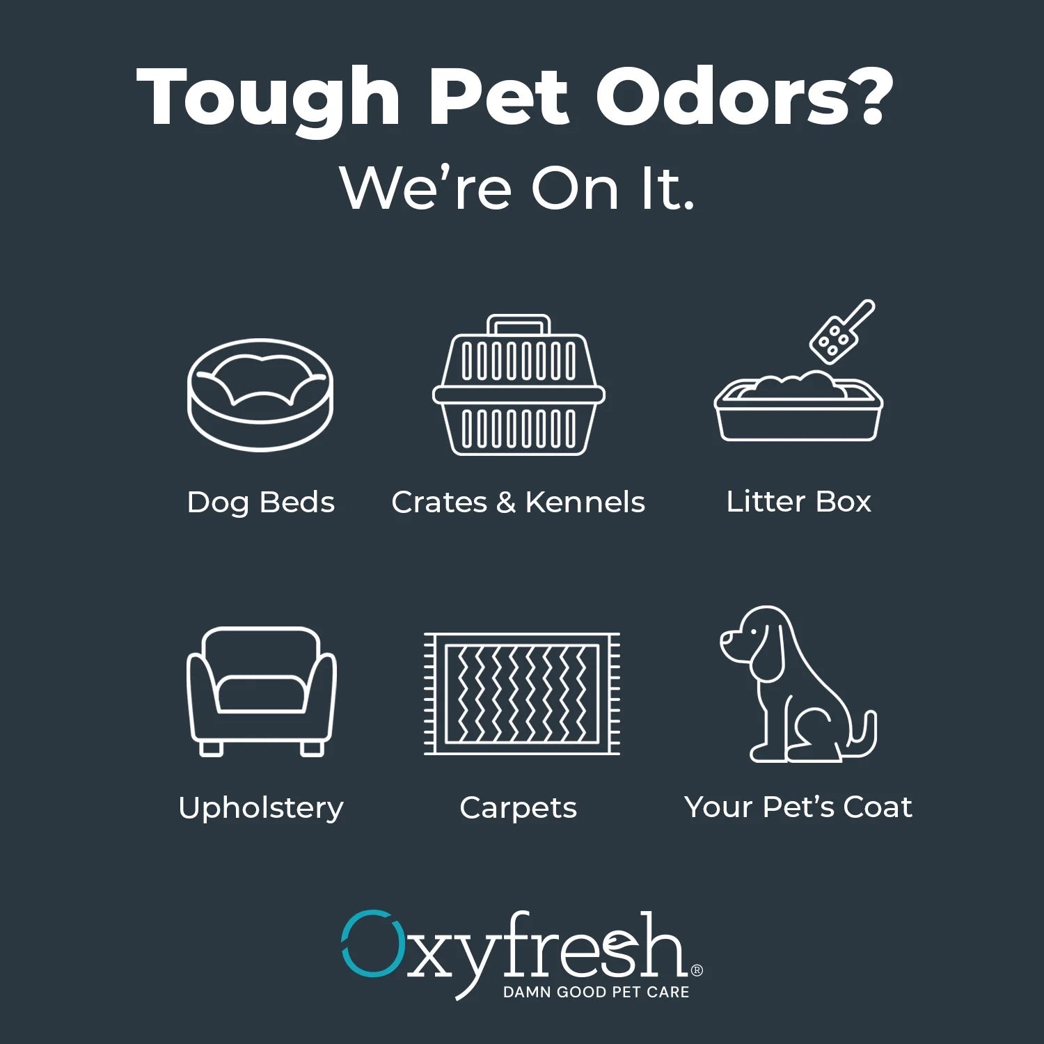 Extra Strength Pet Odor Eliminator Spray - Fragrance-Free, Non-Toxic Formula for Immediate Odor Removal in Homes and Vehicles, Endorsed by Veterinarians, 16 Oz