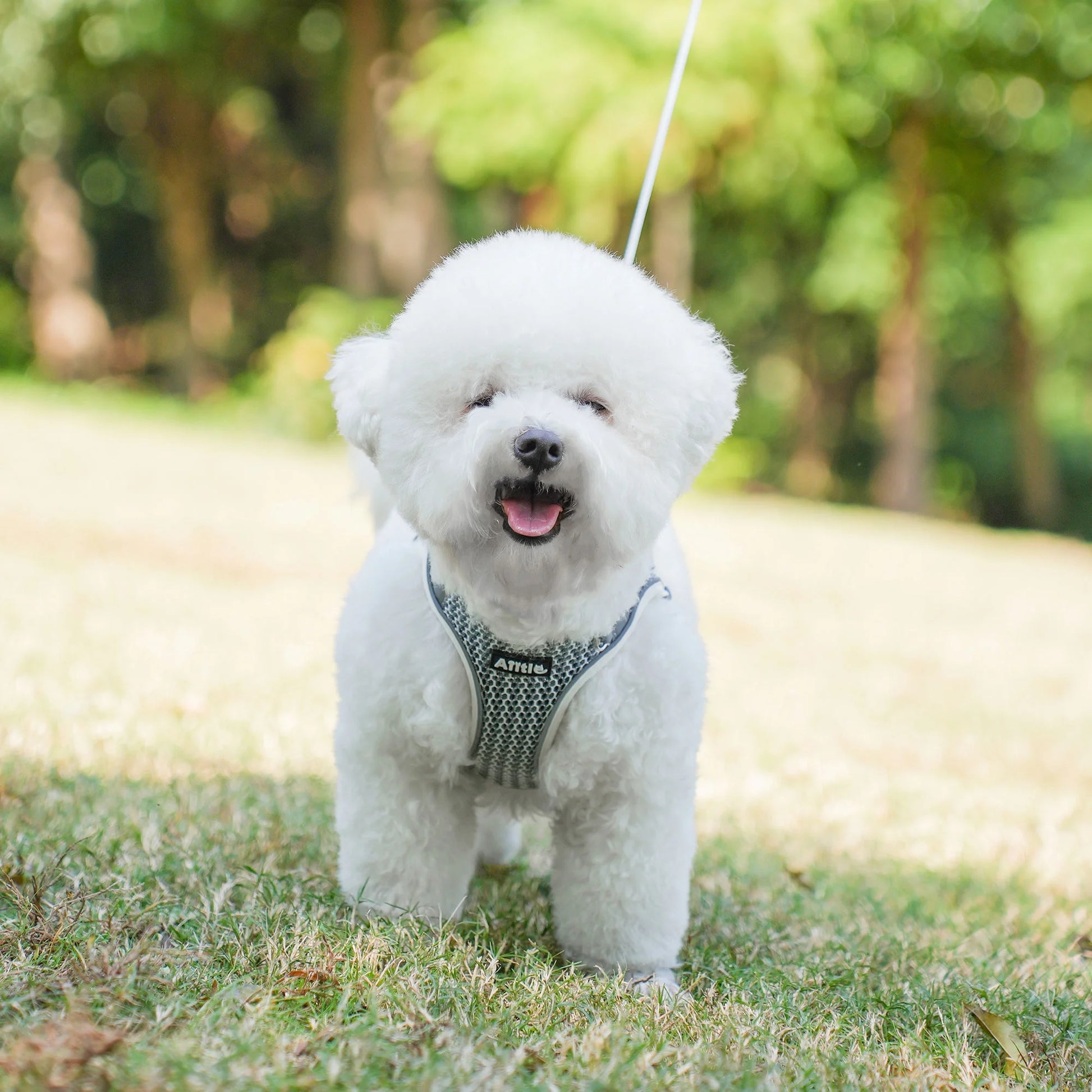 No-Pull Harness for Small Dogs - Step-In Puppy Harness with Breathable Mesh, Adjustable Reflective Design for Outdoor Walking and Training, Beige XS