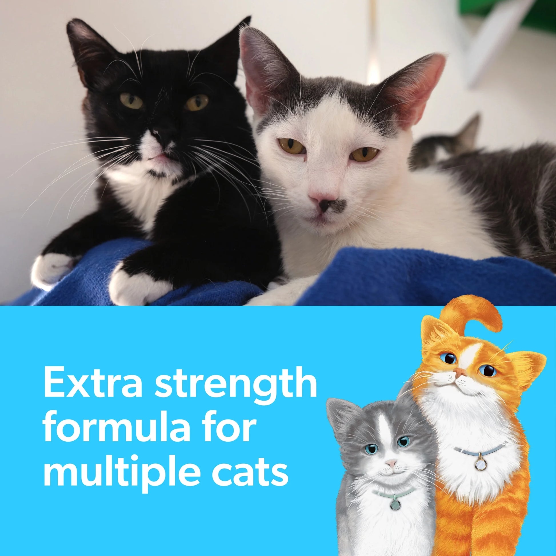 Multi-Cat Extra Strength Clumping Cat Litter with Febreze, 25 Lbs