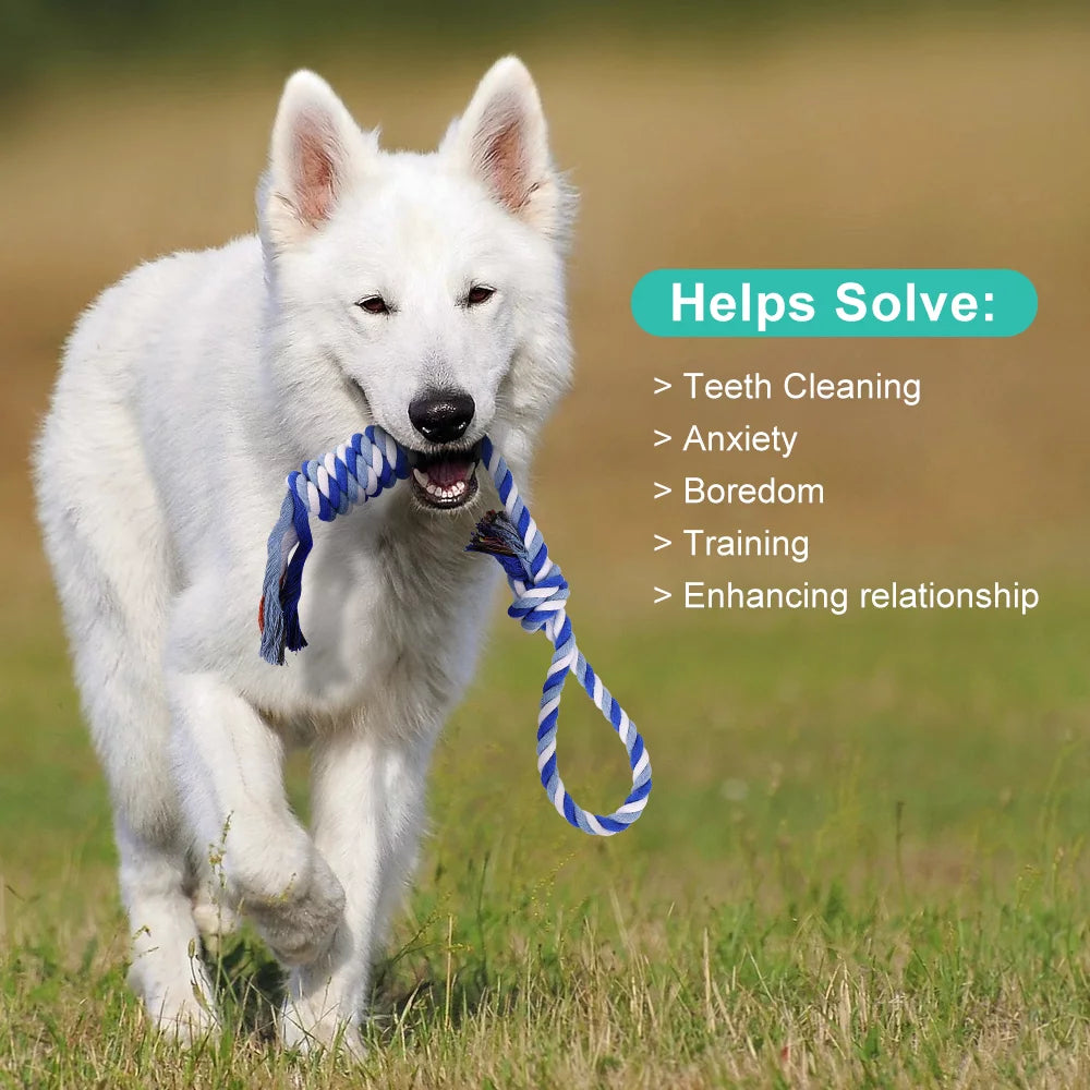 Durable Dog Chew Toys - 8 Pack Interactive Washable Rope Toys for Aggressive Chewers, Ideal for Puppies and Small to Medium Dogs