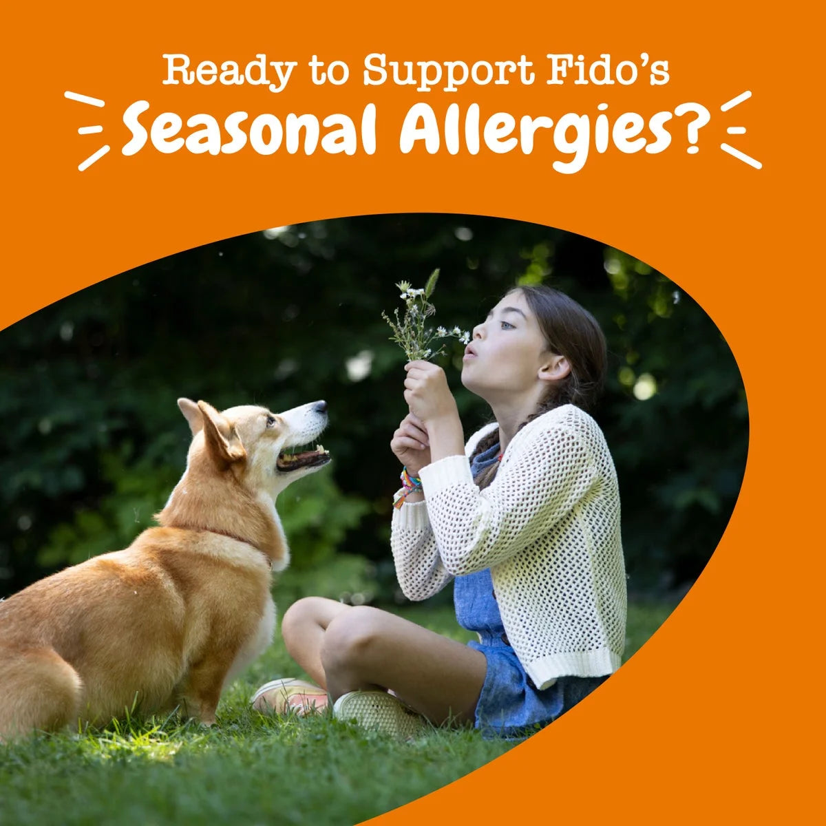 Allergy & Immune Mini Bites for Small Dogs, for Seasonal Allergies, Immune + Sensitive Skin & Gut Health, Lamb Flavor, 90Ct