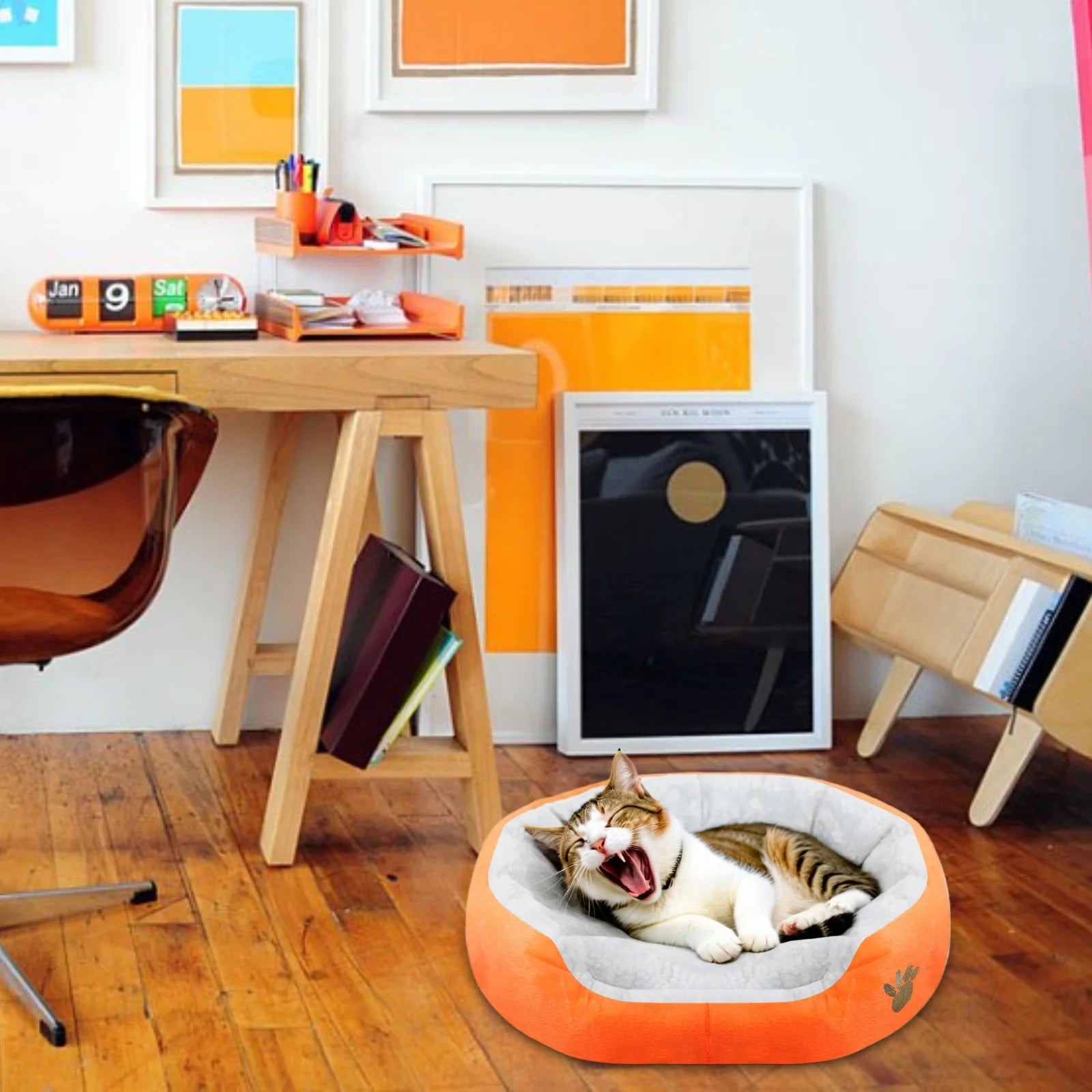 Dog Beds for Small Dogs Puppy Bed Pet Cats Bed with Removable Cushion for Indoor Cats Dogs, Orange