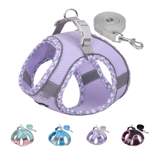 Extra Small Dog and Cat Harness with Leash, No-Pull Design, Quick-Release Buckle, Reflective Outdoor Vest in Purple, XXS