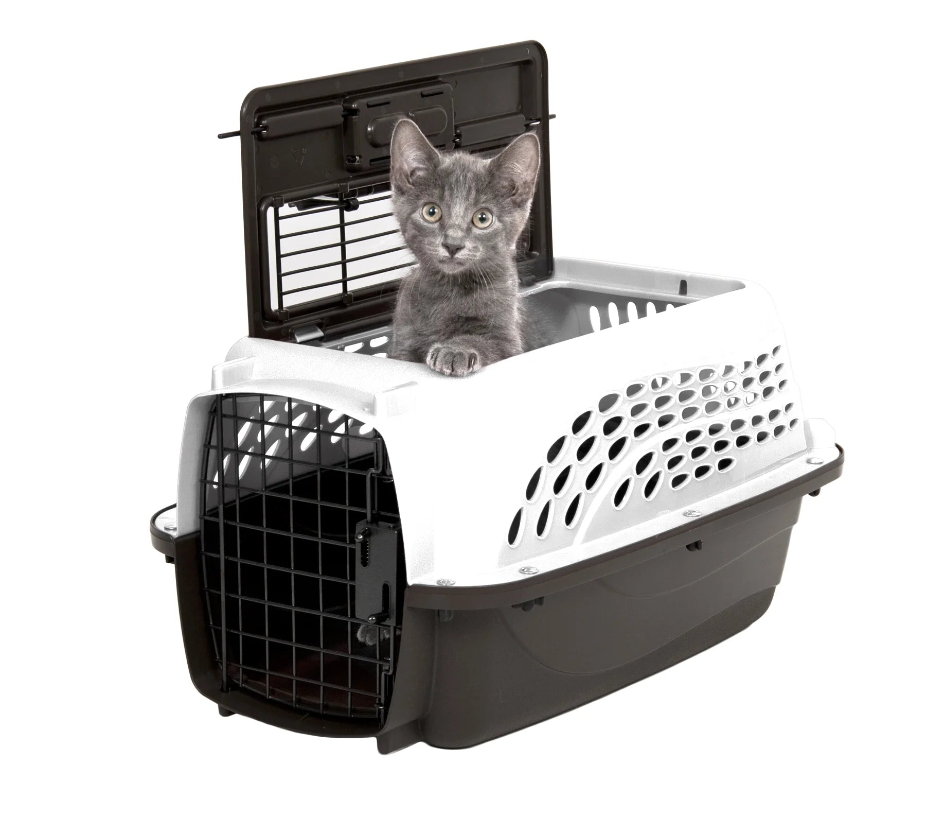 Two-Door Top Load Plastic Travel Kennel for Small Dogs and Cats, 19" - Suitable for Pets up to 10 lbs, White