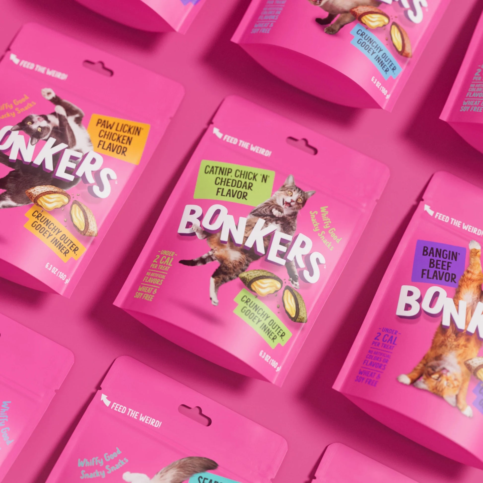 Cat Bites - Catnip & Chicken Cheddar Flavor, Crunchy and Soft Cat Treats, 16 Oz Tub