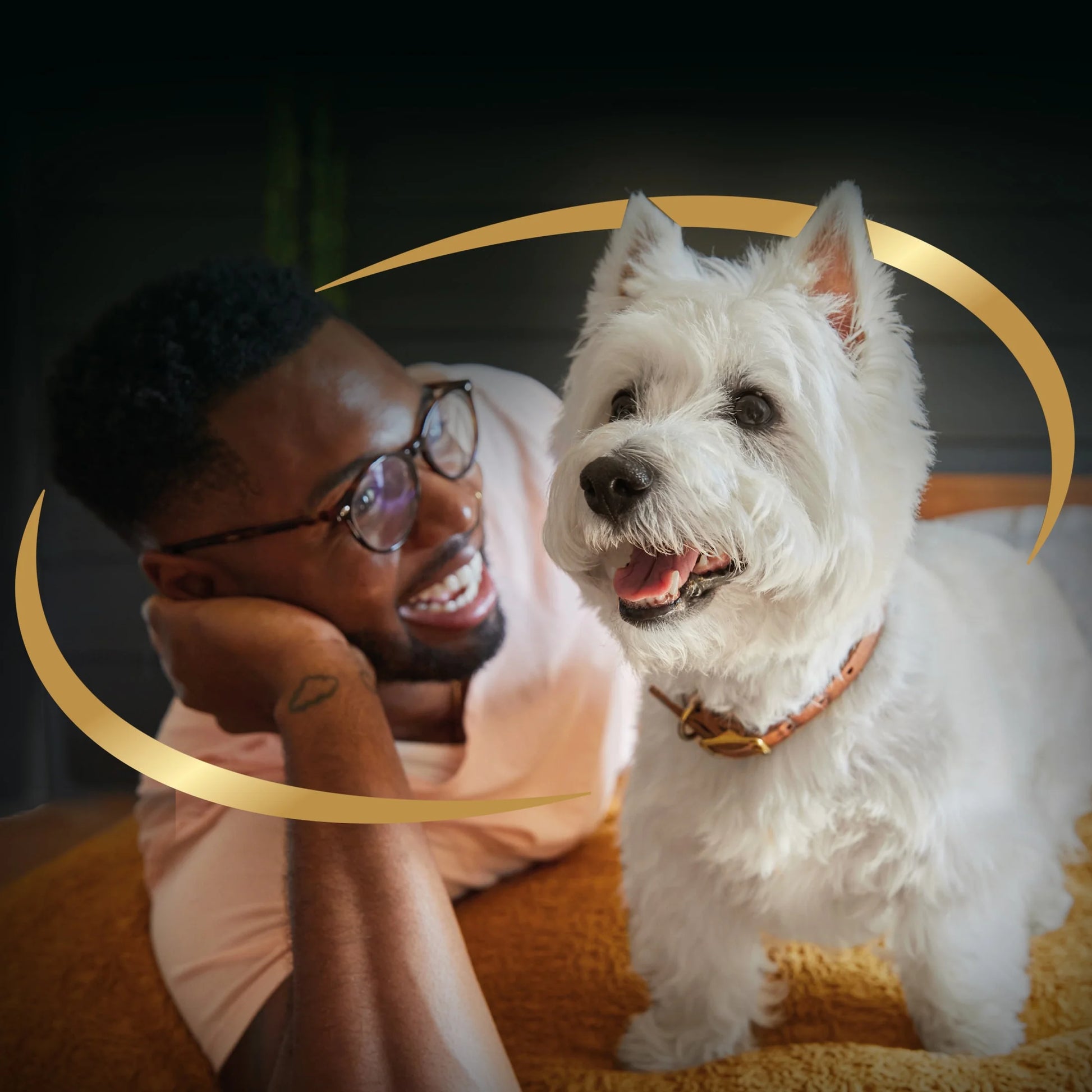 Home Delights Adult Dog Food with Turkey, Green Beans, and Potatoes, 3.5 oz.