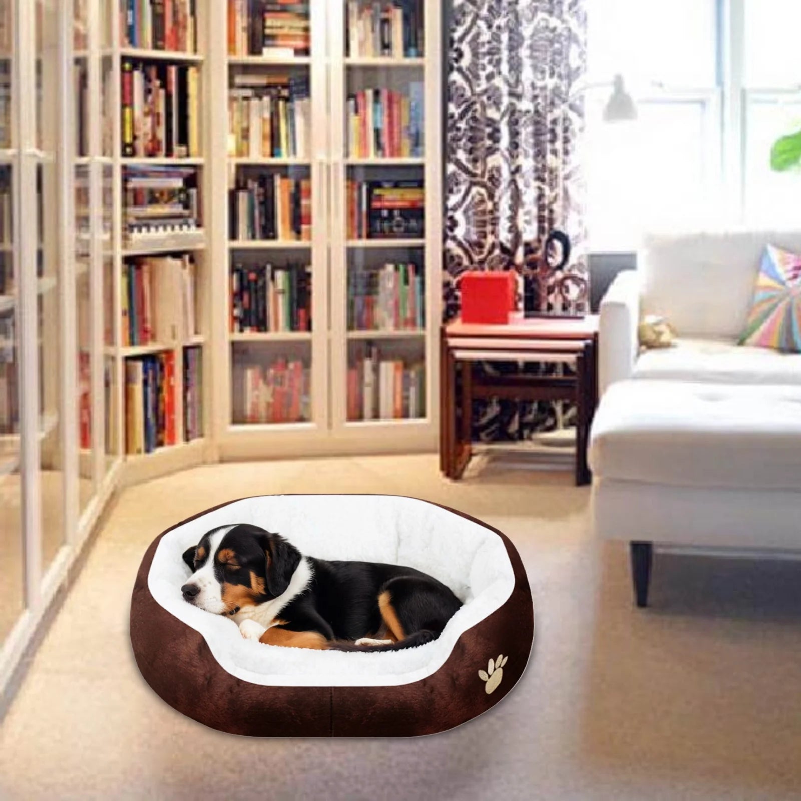 Dog Beds for Small Dogs Puppy Bed Pet Cats Bed with Removable Cushion for Indoor Cats Dogs, Brown