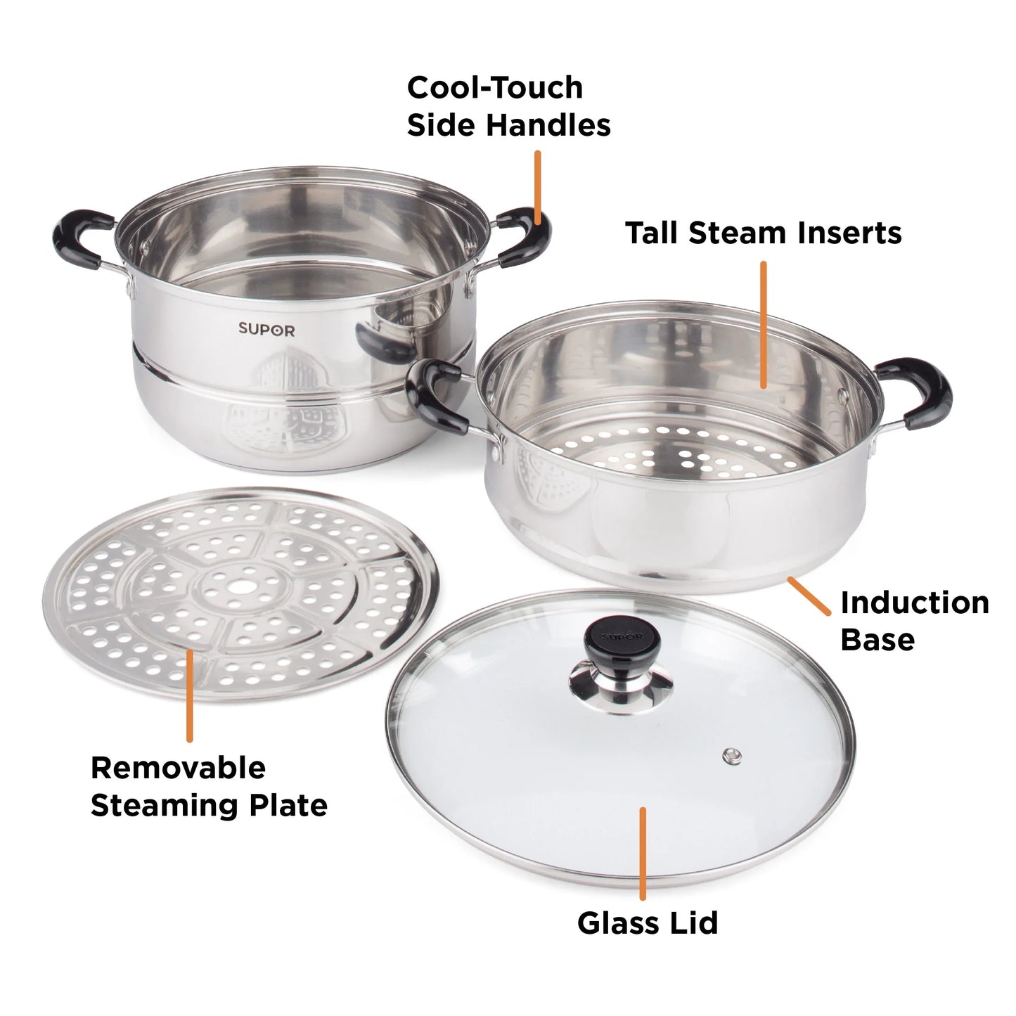 2-Tier Stainless Steel Steamer Pot with Glass Lid, 7.6QT Large, for Dumplings, Seafood, Vegetables & More