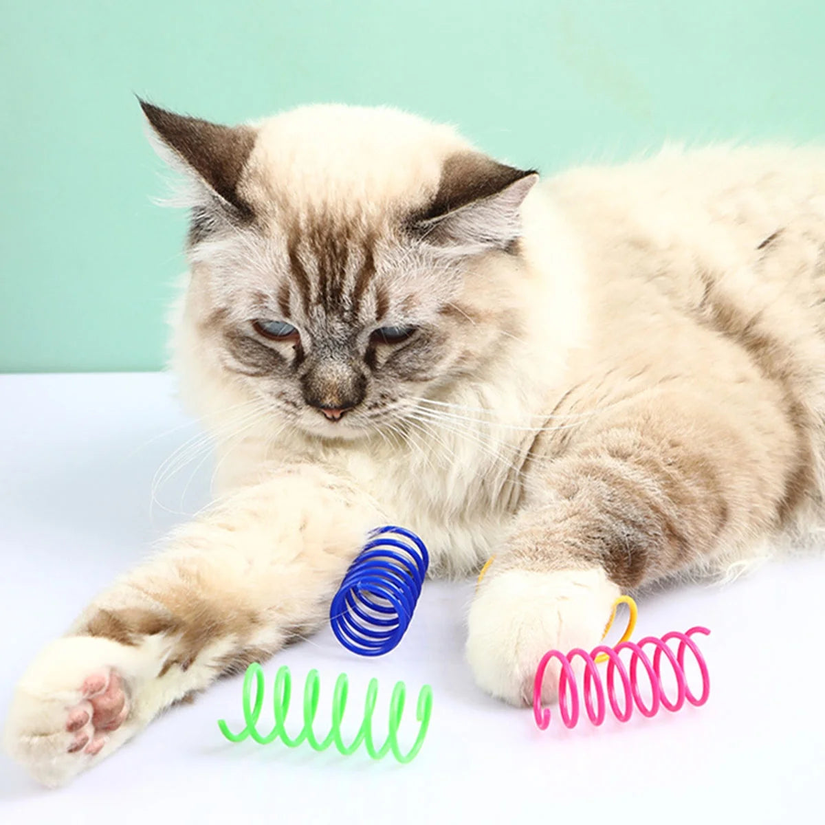 Colorful 16-Piece Cat Spring Toy Set - Durable Interactive Spiral Coils for Bouncing and Training Fun