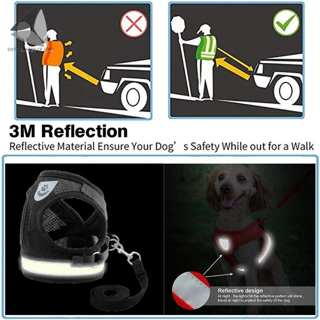 Adjustable Step-In Air Dog Harness Vest with No Pull and No Choke Design, Reflective Features for Small Dogs and Cats (XS, Blue)