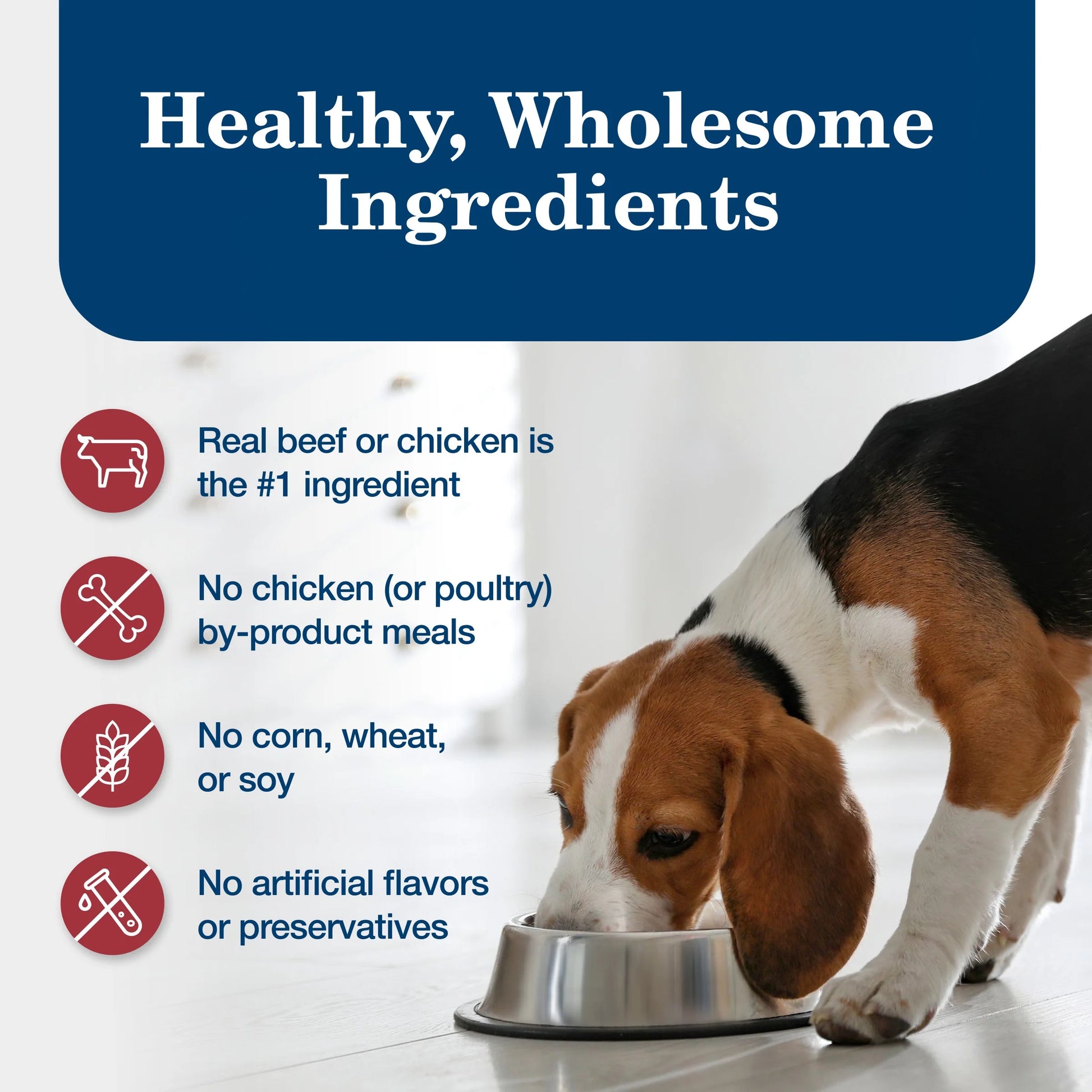 Homestyle Recipe Adult Wet Dog Food, Chicken and Beef, 12.5 oz Can (Pack of 6)