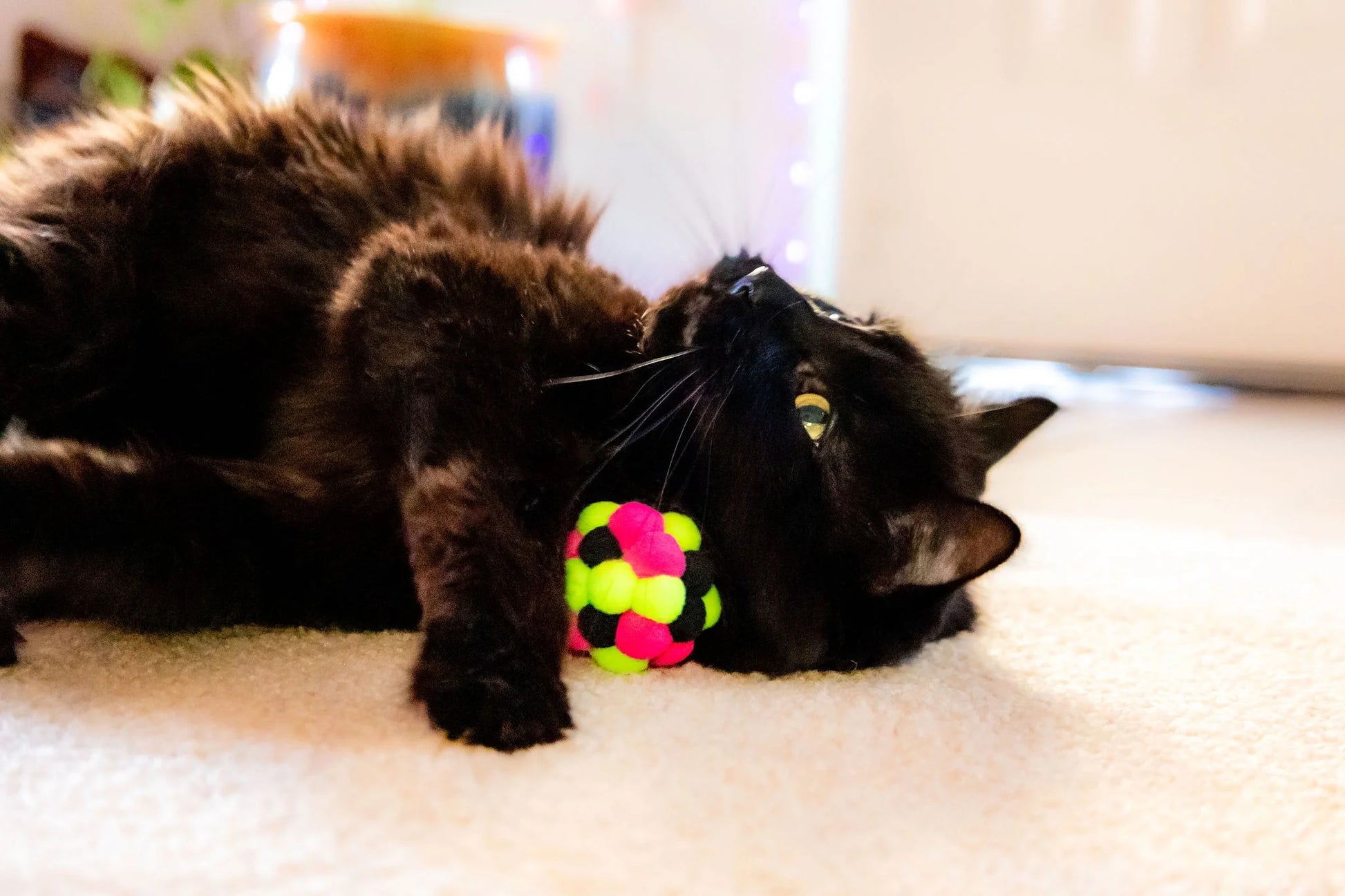 (6 Pack)  Pom Pom Cat Toy, Assorted Colors