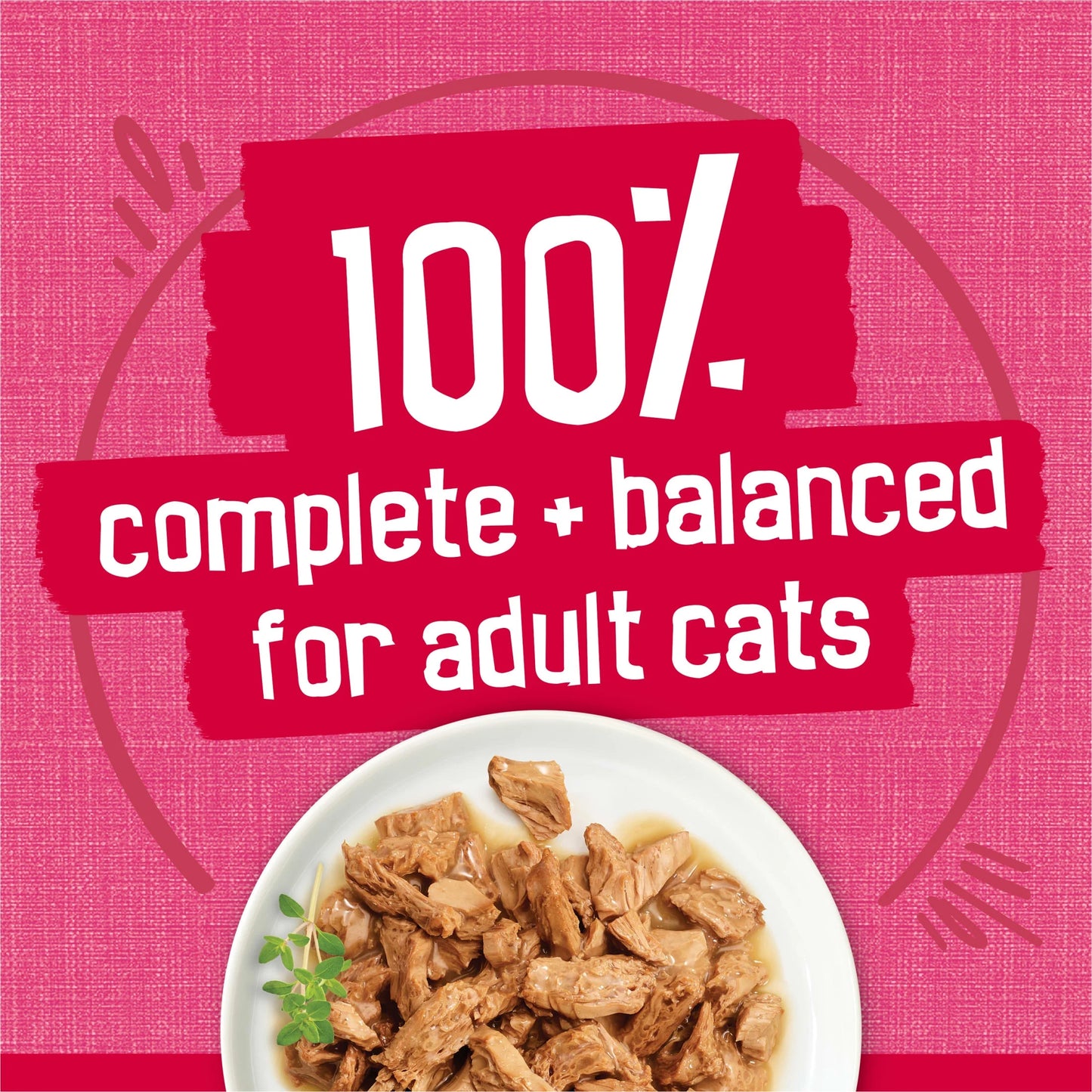 Purina Prime Filets Salmon and Beef in Sauce Wet Cat Food, 5.5 oz Can