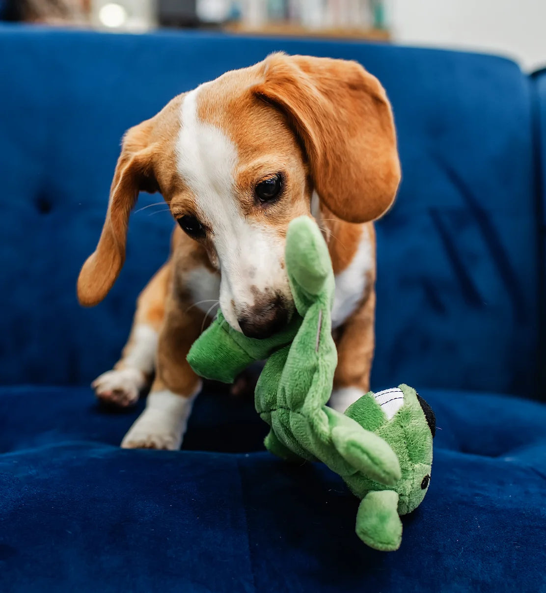 Mini Pet Loofa Squeaker Mat, Plush Dog Toy, Green