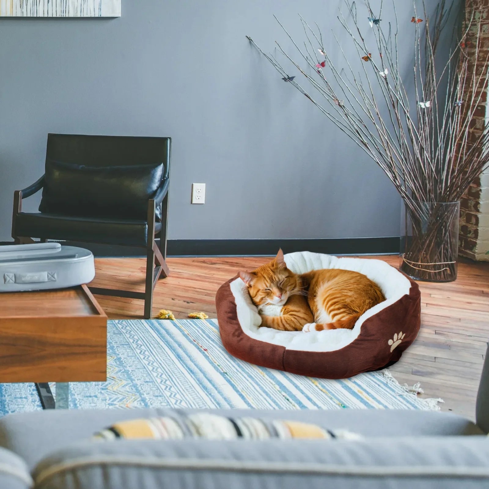 Dog Beds for Small Dogs Puppy Bed Pet Cats Bed with Removable Cushion for Indoor Cats Dogs, Brown