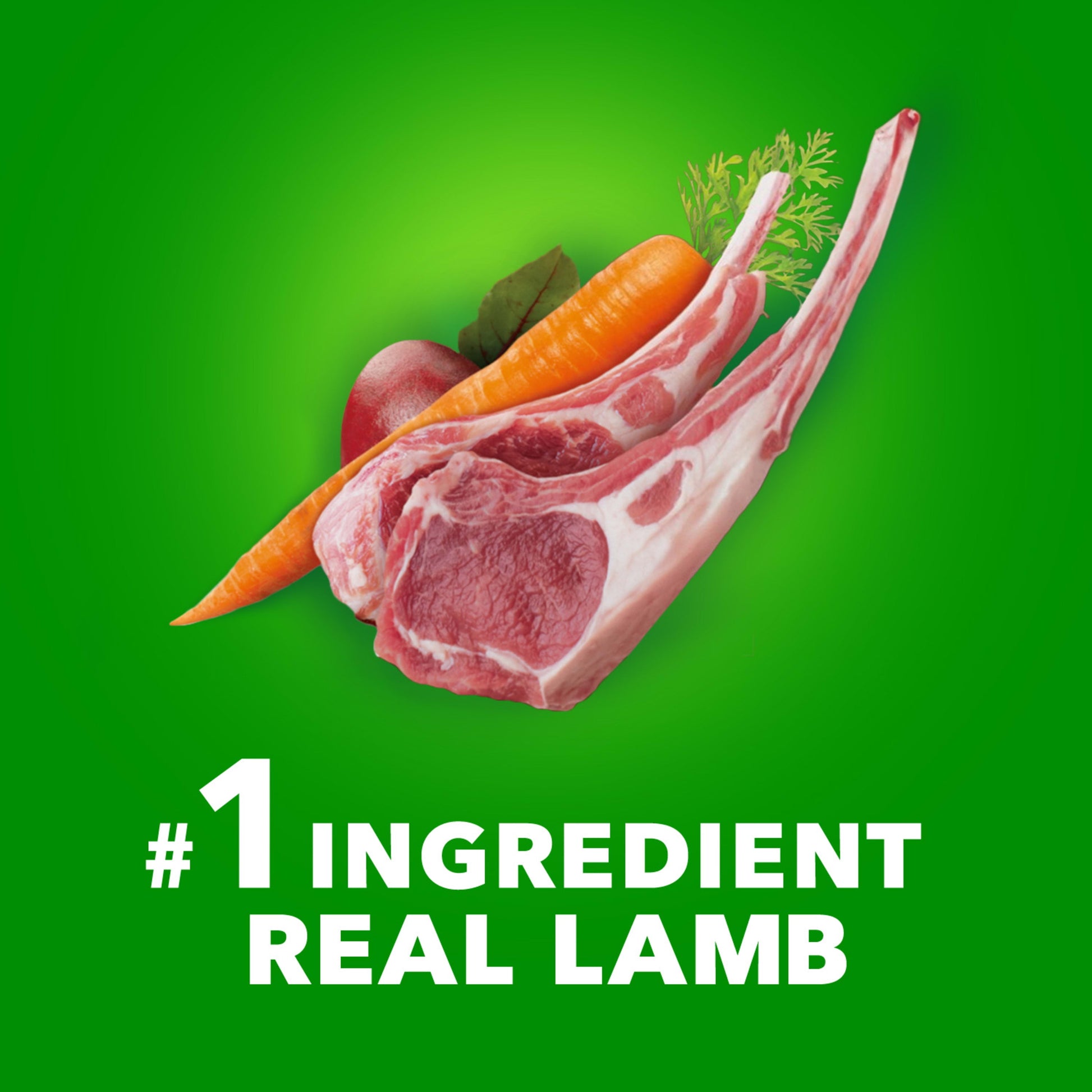 Proactive Health Large Breed Adult Dry Dog Food with Lamb & Rice, 30 lb. Bag