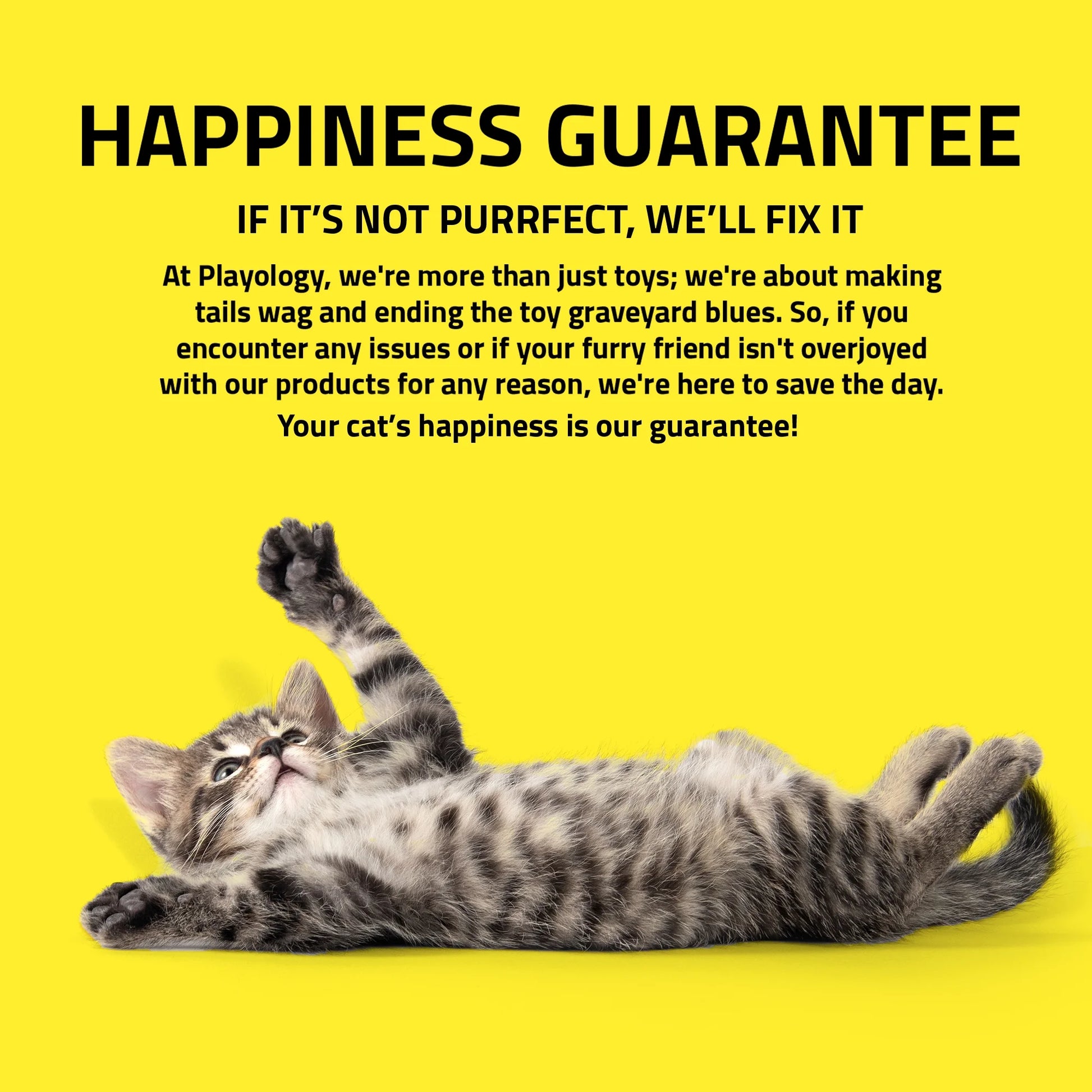 Spring Bird Cat Toy with Suction Cup