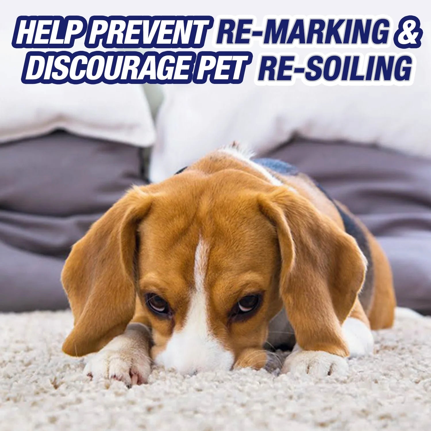 Urine Destroyer Carpet Cleaner and Odor Eliminator Spray, 32 Oz