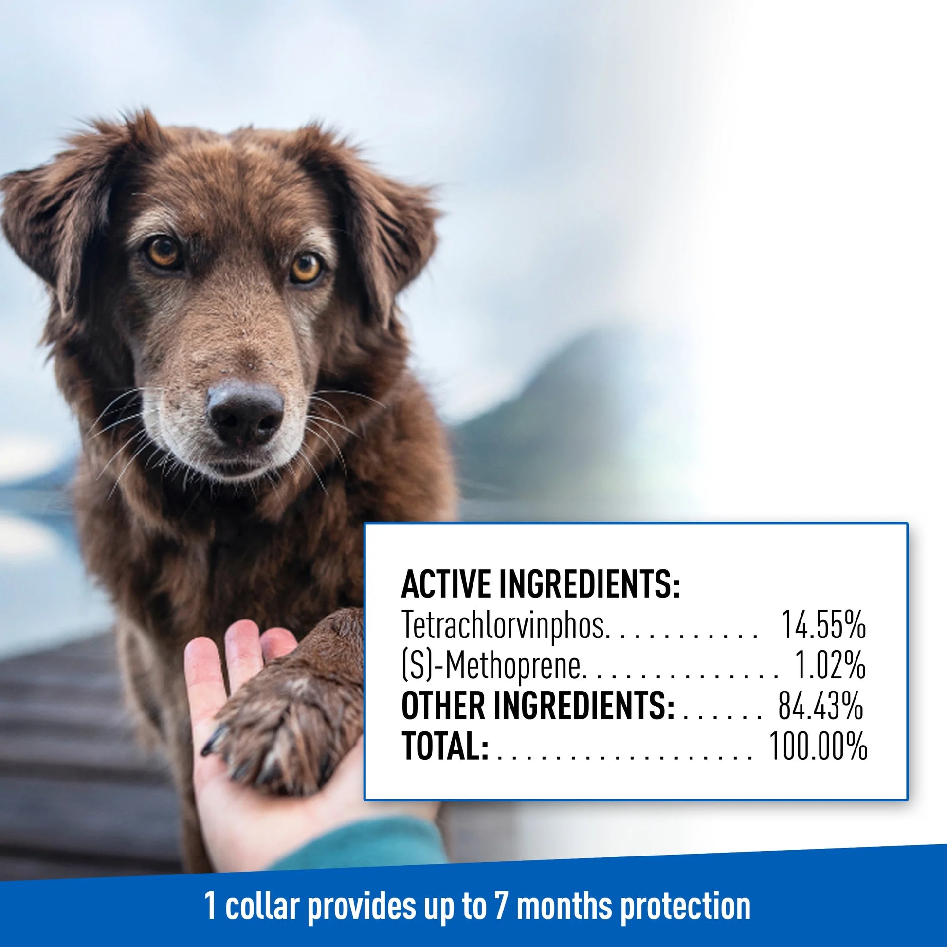 Flea and Tick Control Collar for Dogs and Puppies - Single Pack