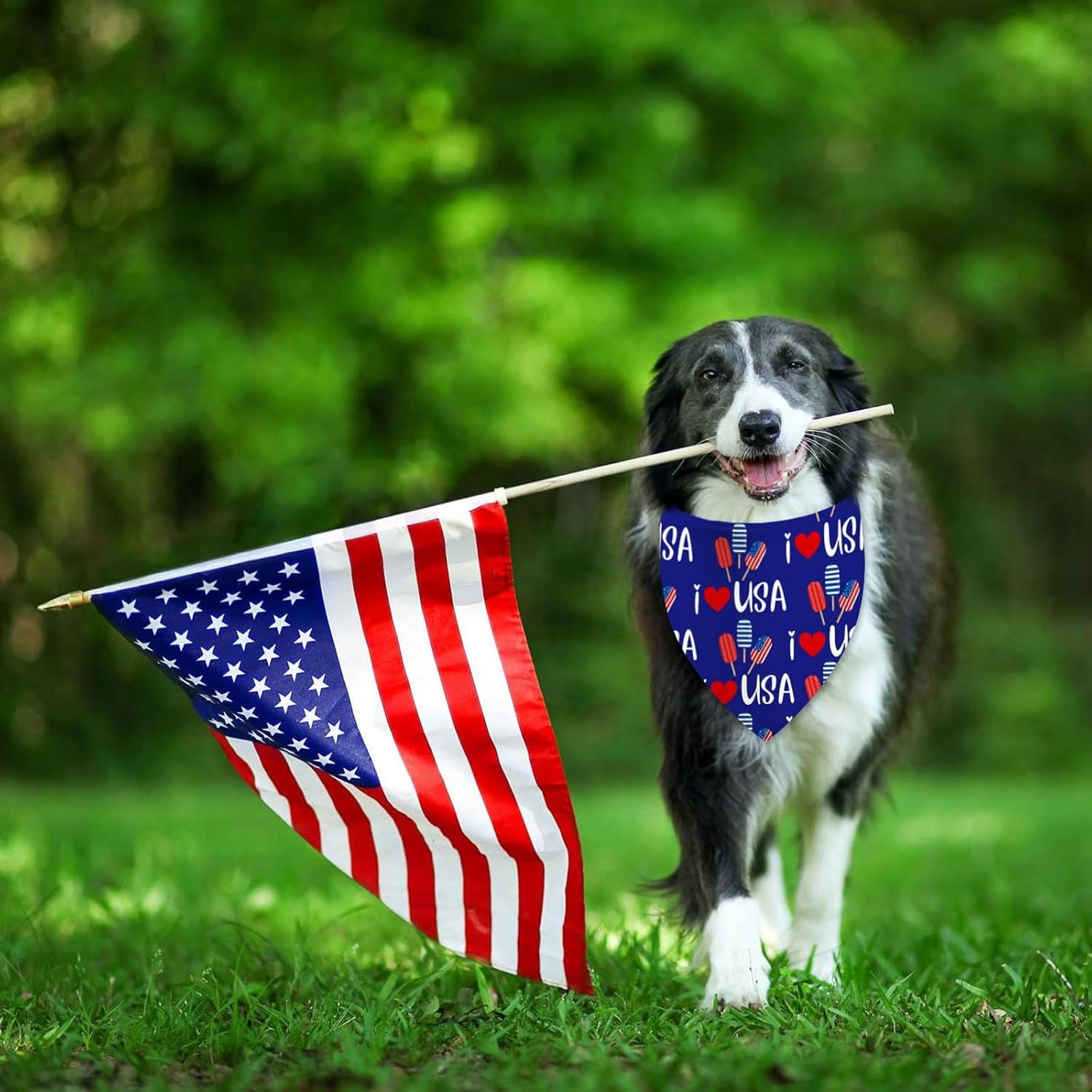 4Th of July Dog Bandanas, Patriotic Holiday Party Pet Decorations 2 Pack, Adjust
