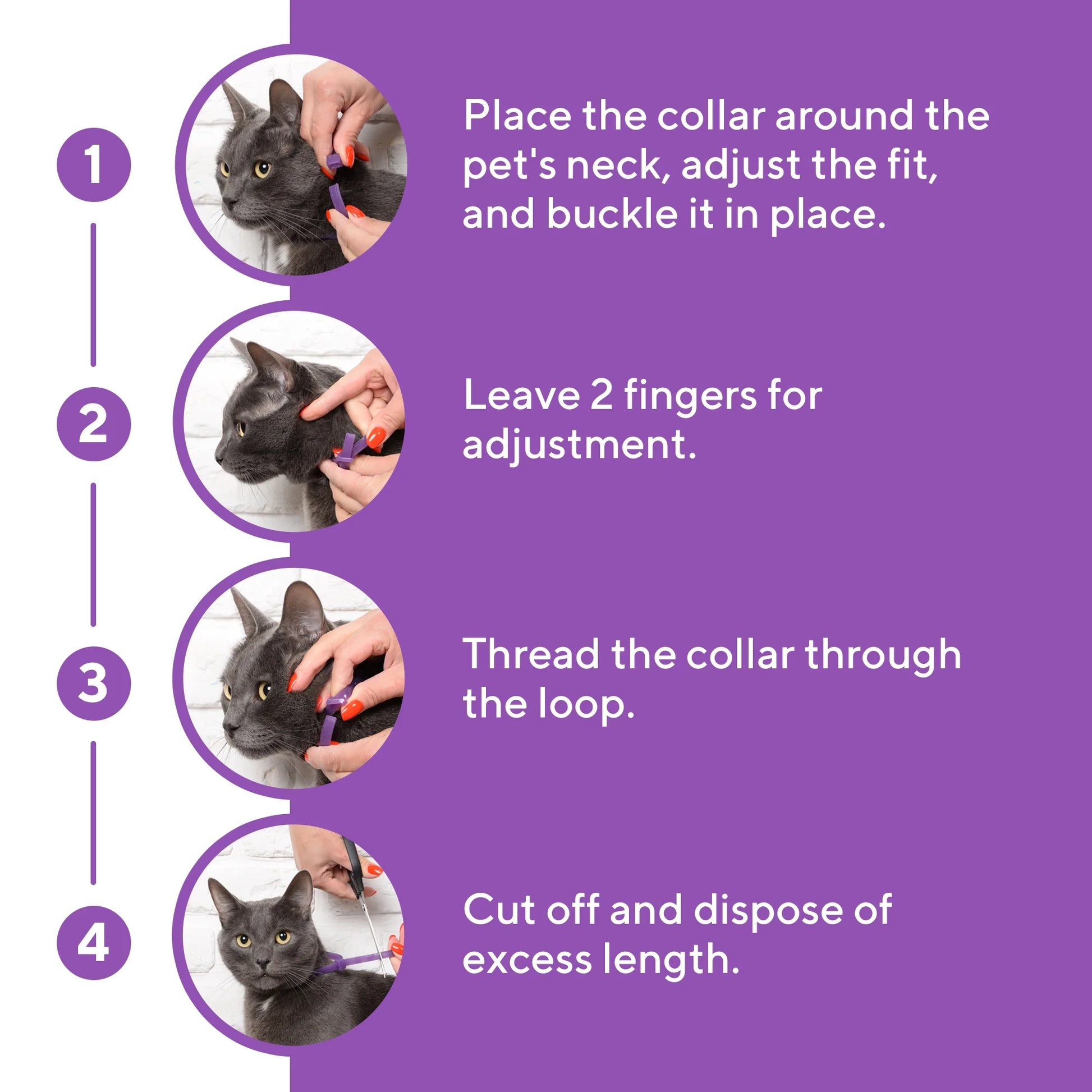 Cat Calming Collar and Anti-Anxiety Solutions - Feline Pheromone Collars for Stress Relief, Behavioral Issues, and Aggression Management