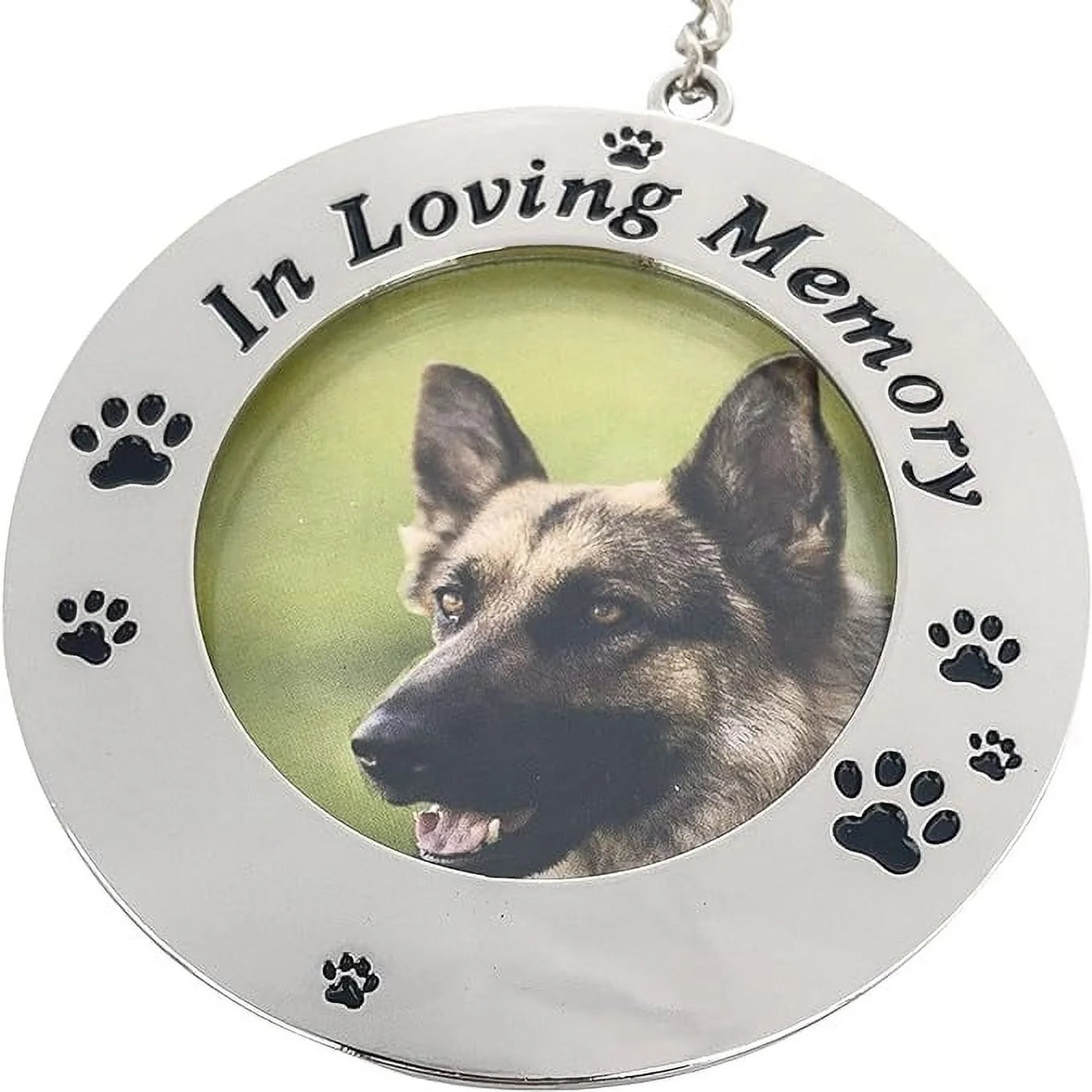 Pet Memorial Photo Frame Ornament in Loving Memory Pets Remembrance