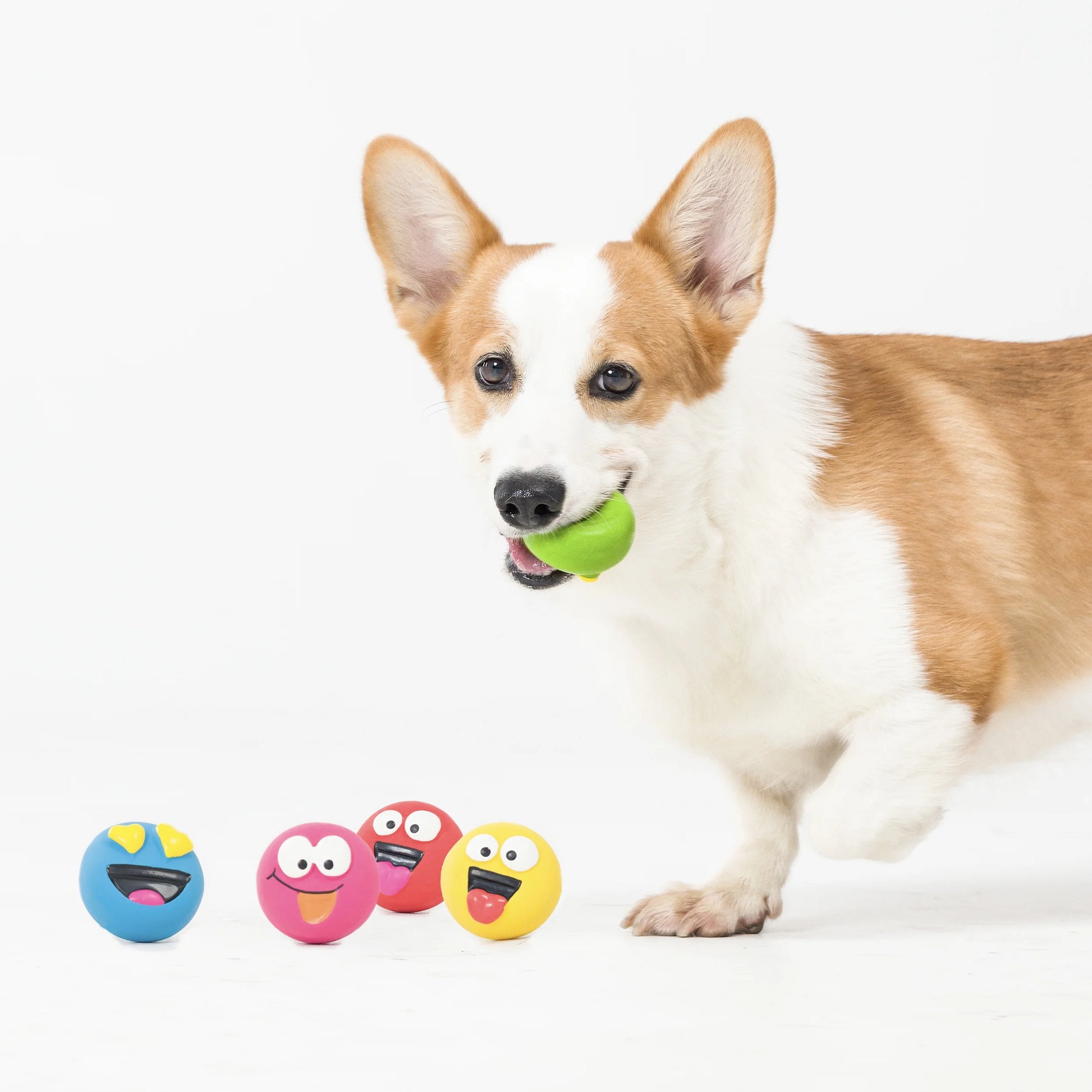 Set of 5 Emoticon Latex Dog Toys