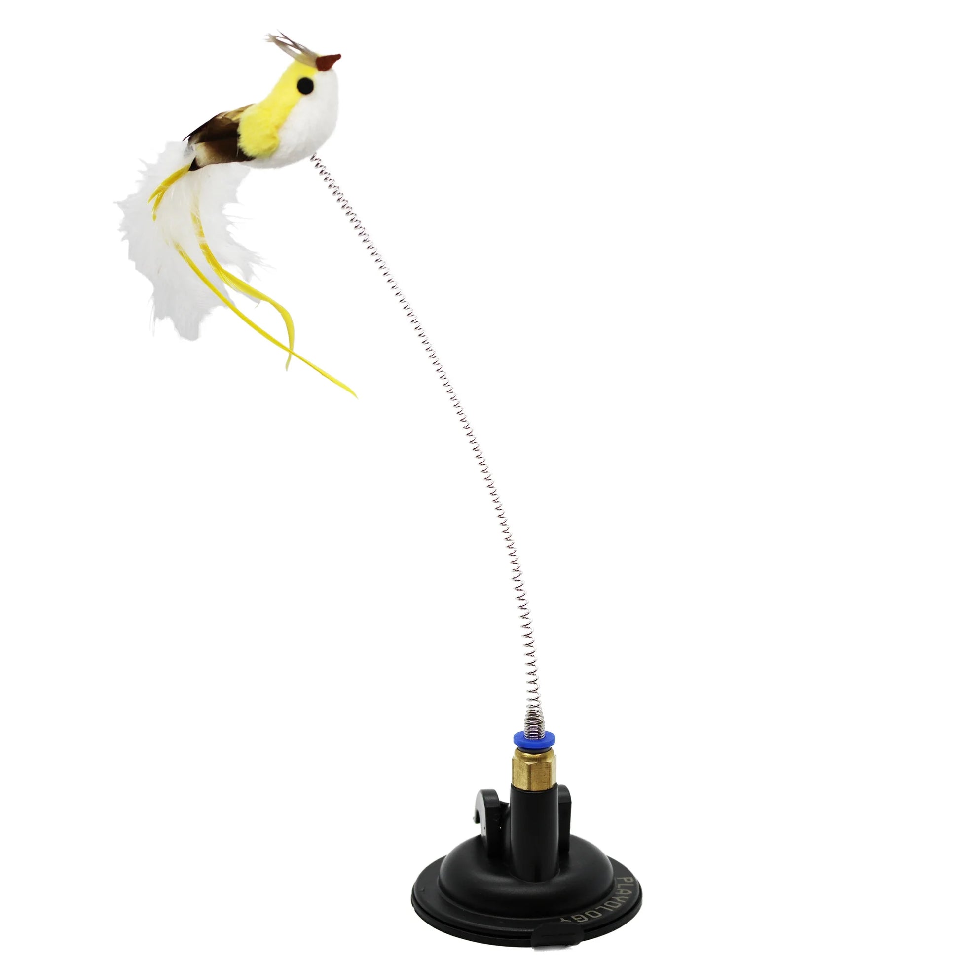 Spring Bird Cat Toy with Suction Cup