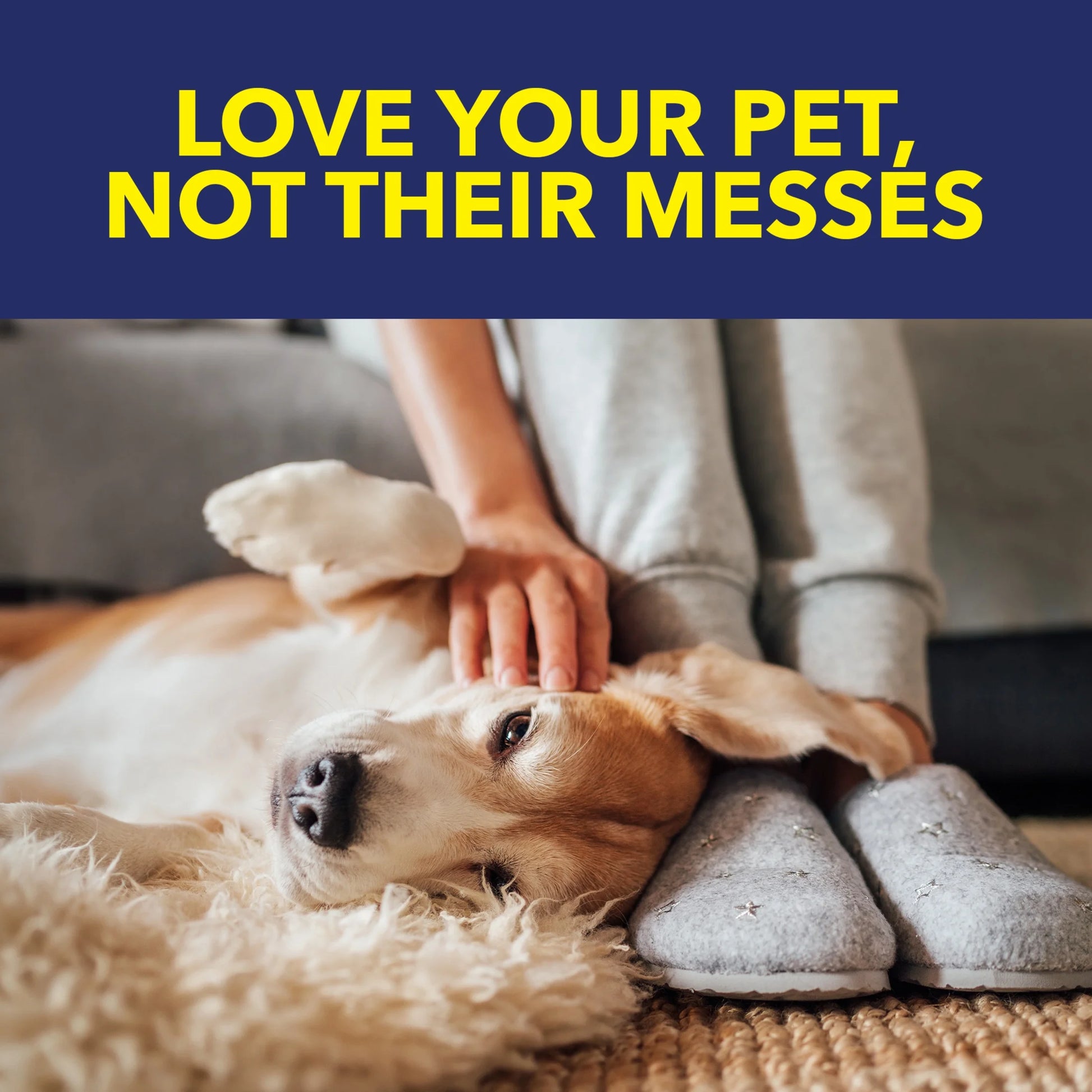 Pet Stain and Odor Remover Spray for Carpets and Rugs, 24 Fl Oz