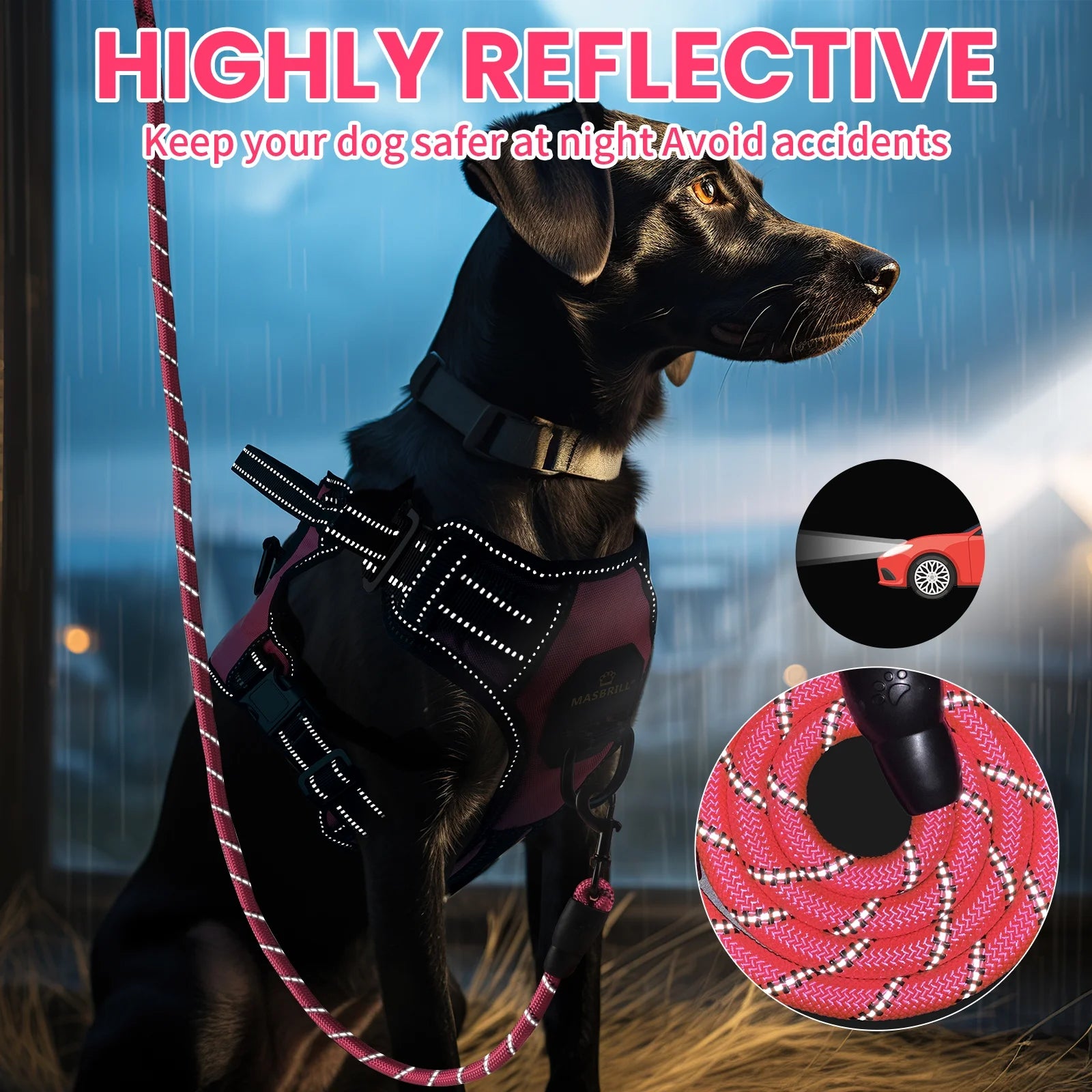 Adjustable No-Pull Dog Harness and Leash Set with Reflective Soft Padding and Handle for Small to Large Dogs