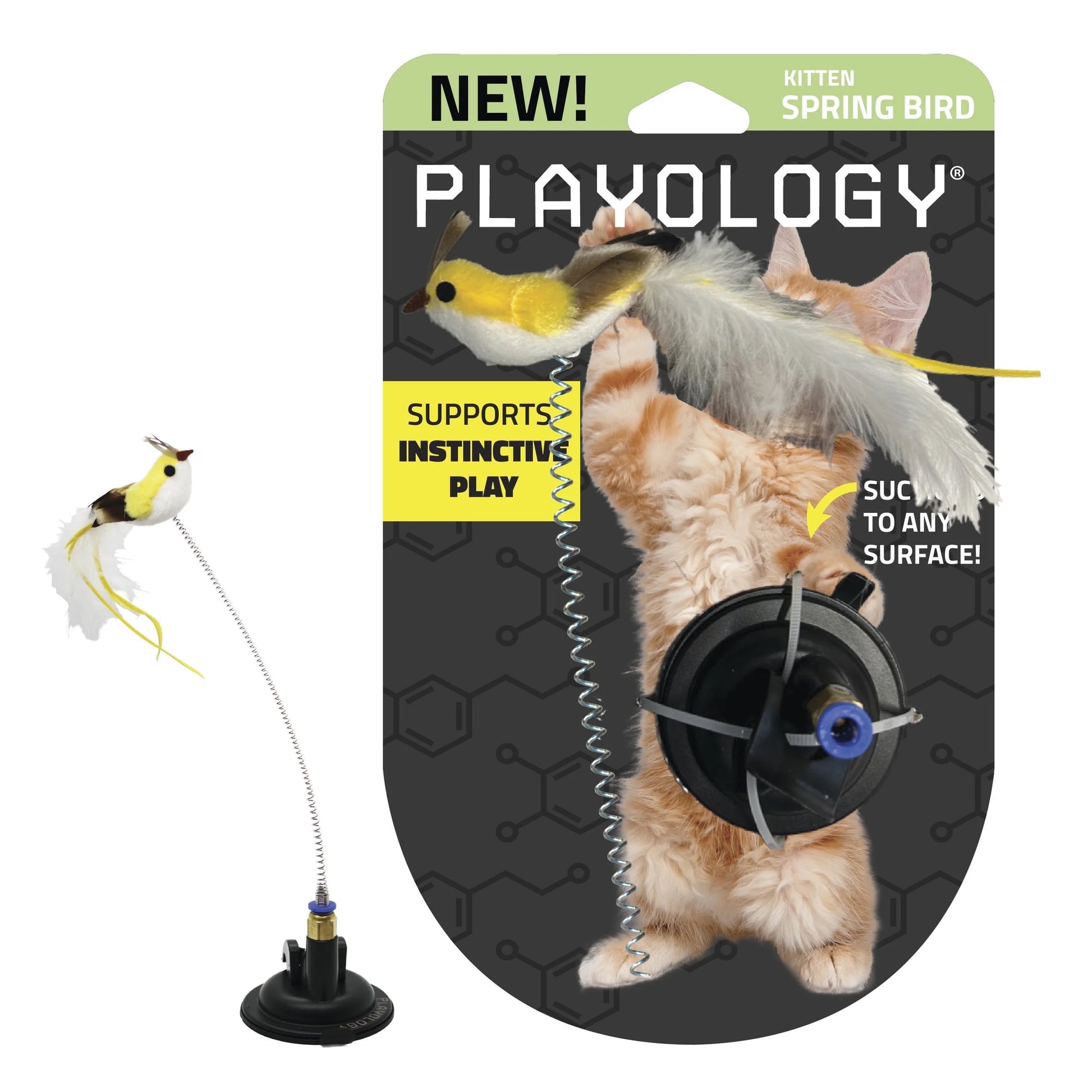 Spring Bird Cat Toy with Suction Cup