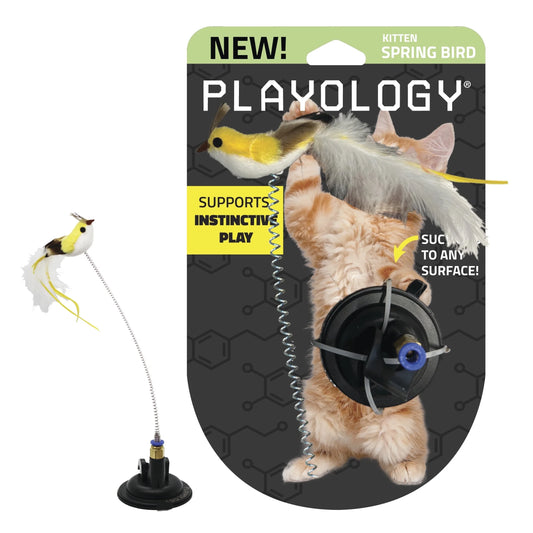 Spring Bird Cat Toy with Suction Cup