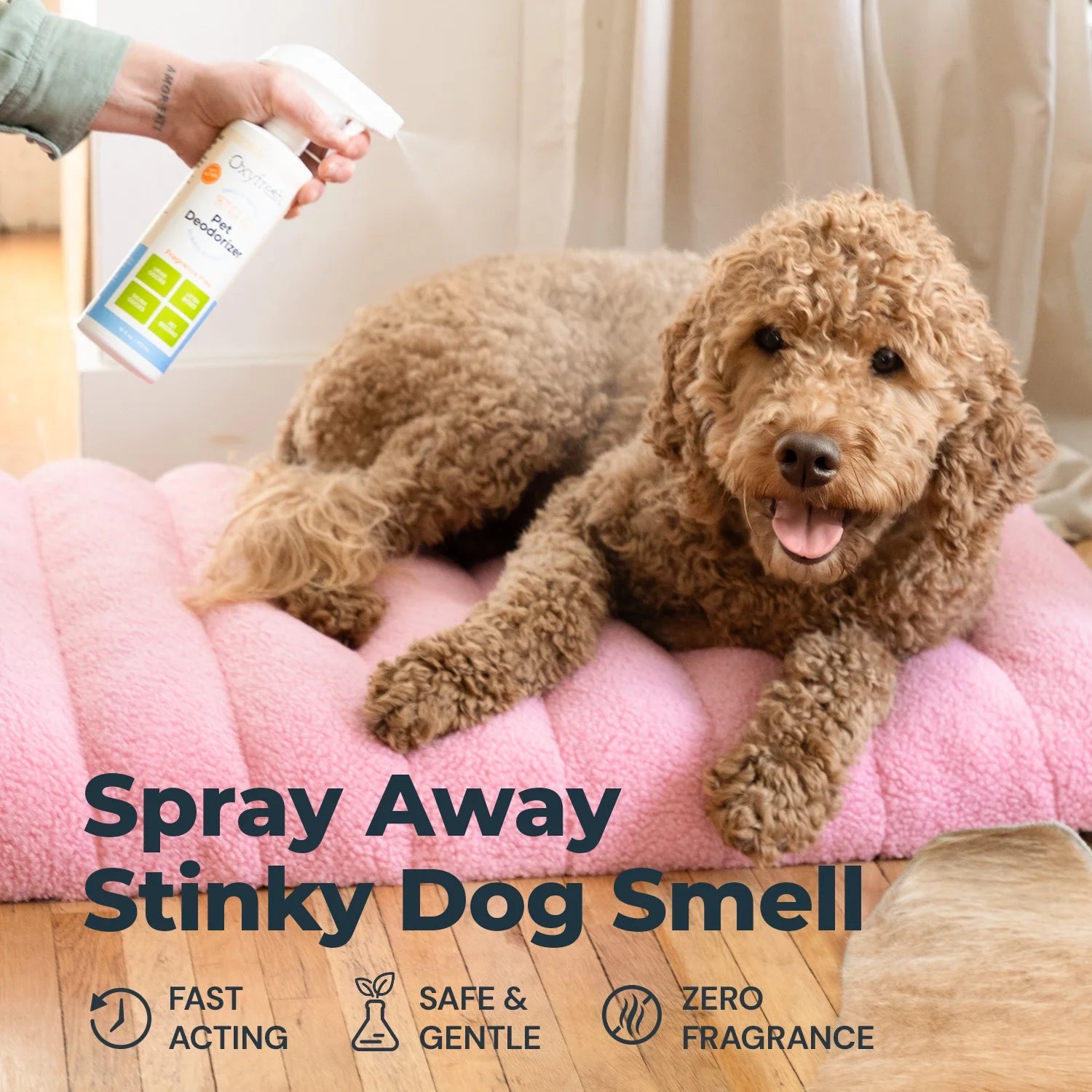 Extra Strength Pet Odor Eliminator Spray - Fragrance-Free, Non-Toxic Formula for Immediate Odor Removal in Homes and Vehicles, Endorsed by Veterinarians, 16 Oz