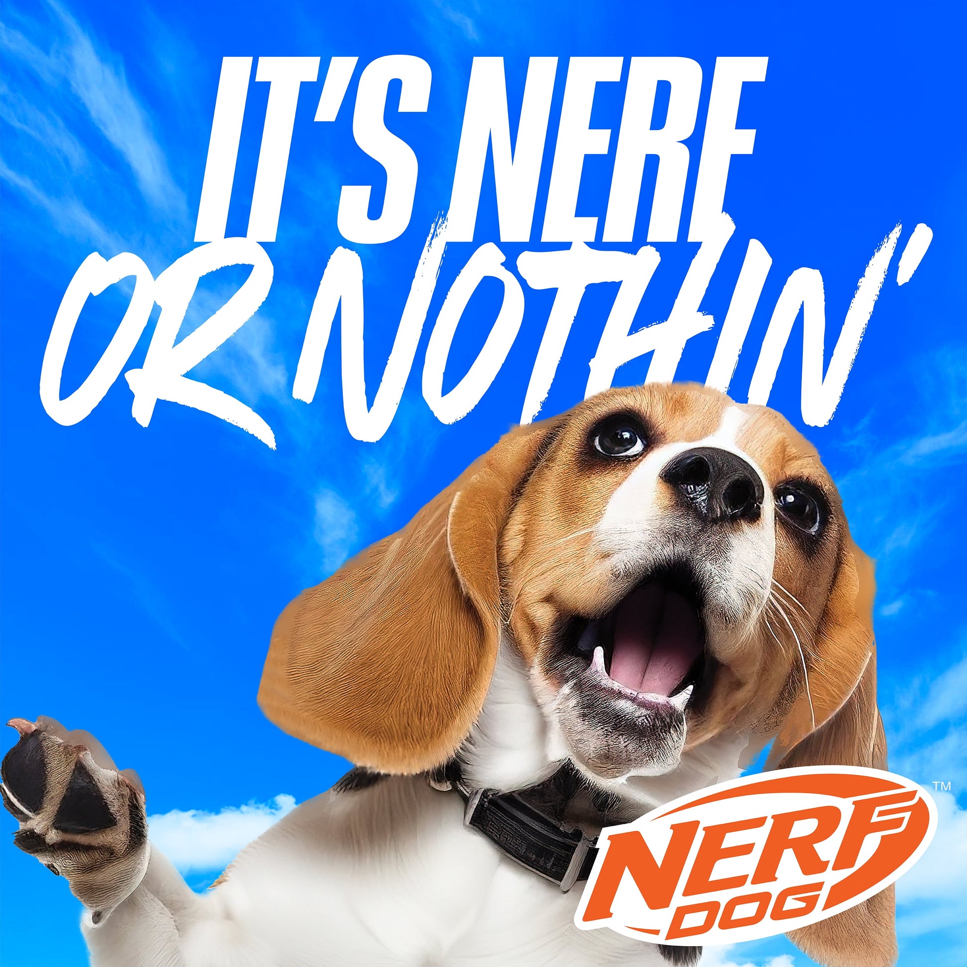 X-Weave Squeaky Soccer Ball for Large Breeds