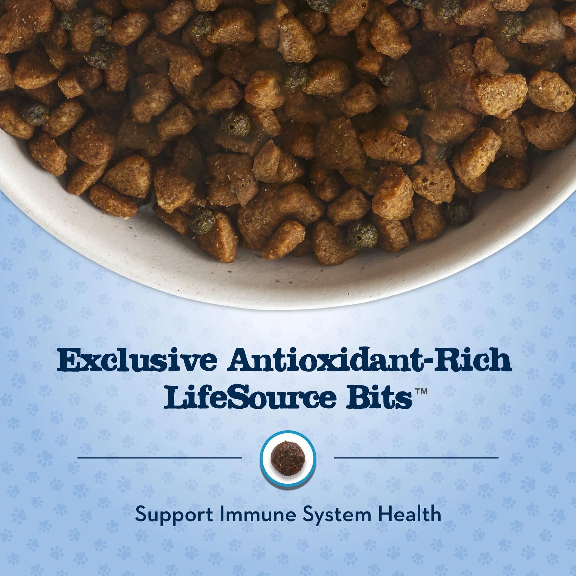 Baby BLUE Healthy Growth Puppy Dry Food with Chicken, 4 lb Bag