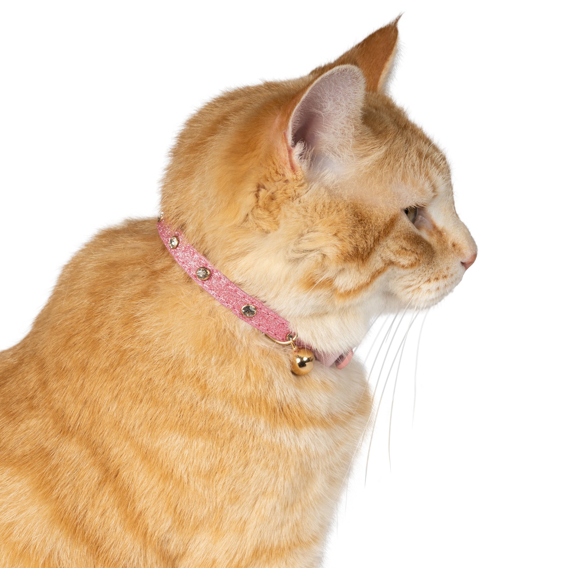 Rhinestone-Embellished Breakaway Cat Collar in Pink, One Size