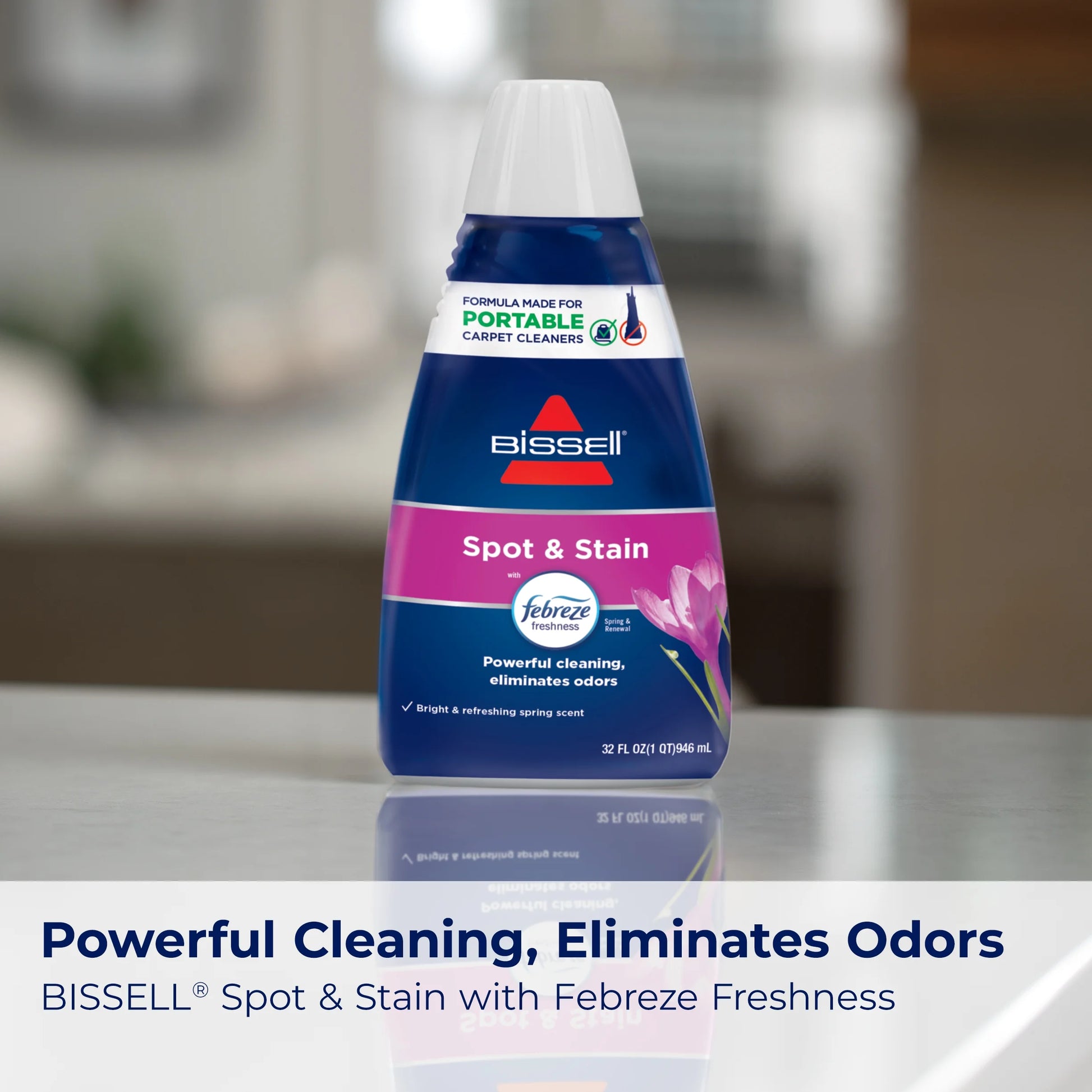 Little Green Portable Carpet Cleaning System, Model 3369